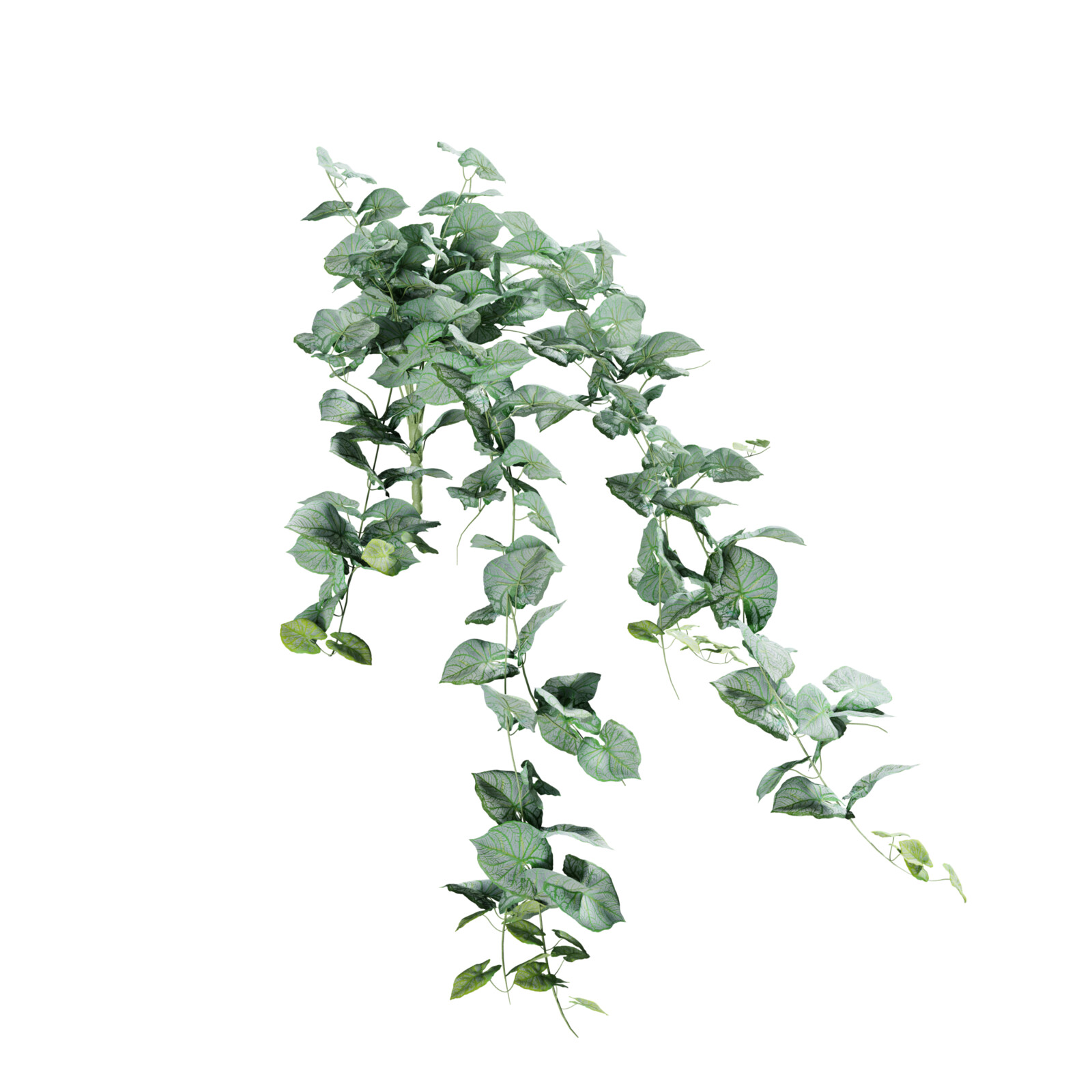 https://hk-green.eu/artificial-tendril-calladium-80-cm-p20236