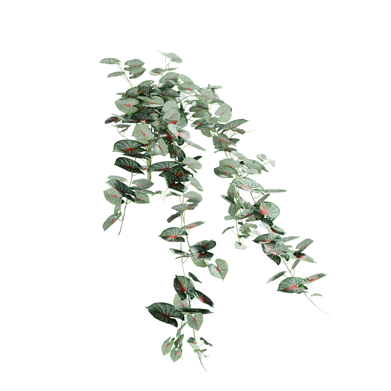 https://hk-green.eu/artificial-tendril-calladium-colored-80-cm-p20237