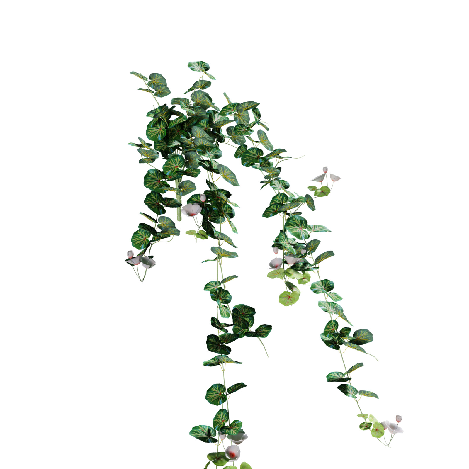https://hk-green.eu/product-p20271