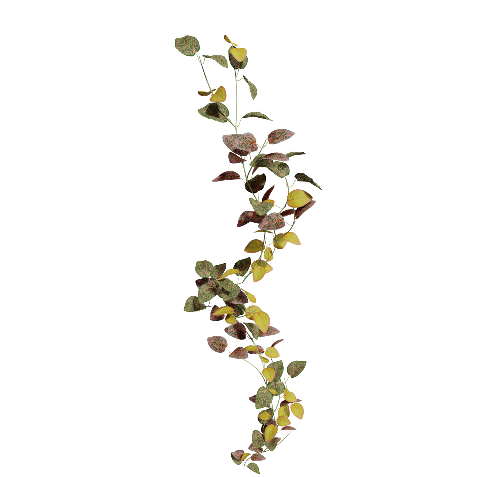 https://hk-green.eu/artificial-garland-fitonia-green-red-190-cm-p20205