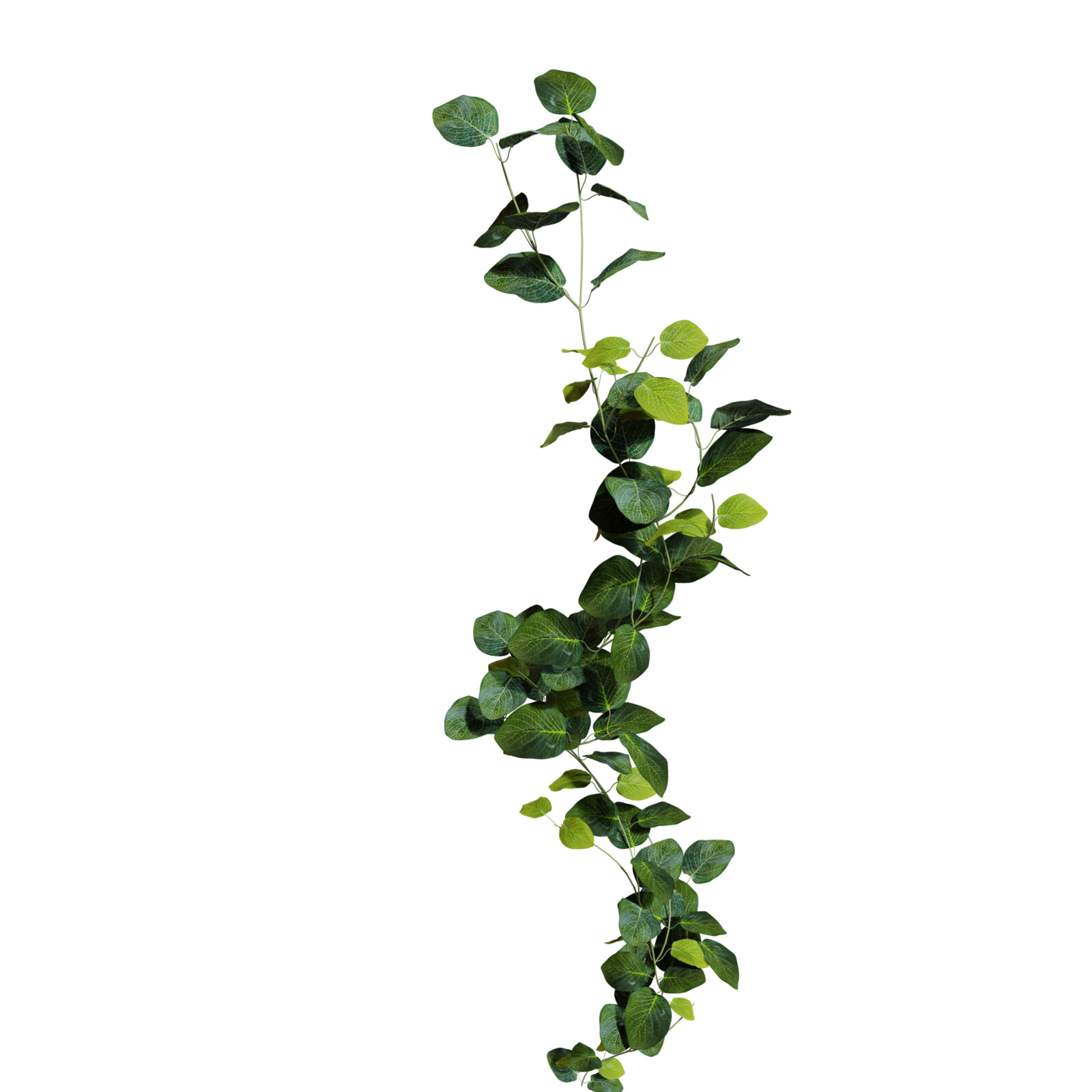 https://hk-green.eu/artificial-garland-fittonia-190-cm-p20206