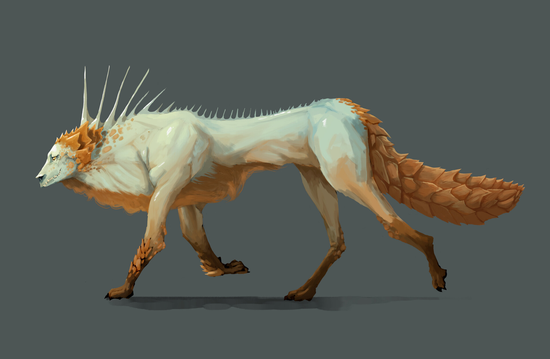 Lizard dog clearance