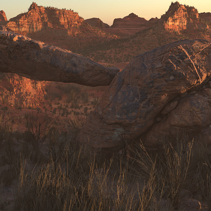 Desert Scene