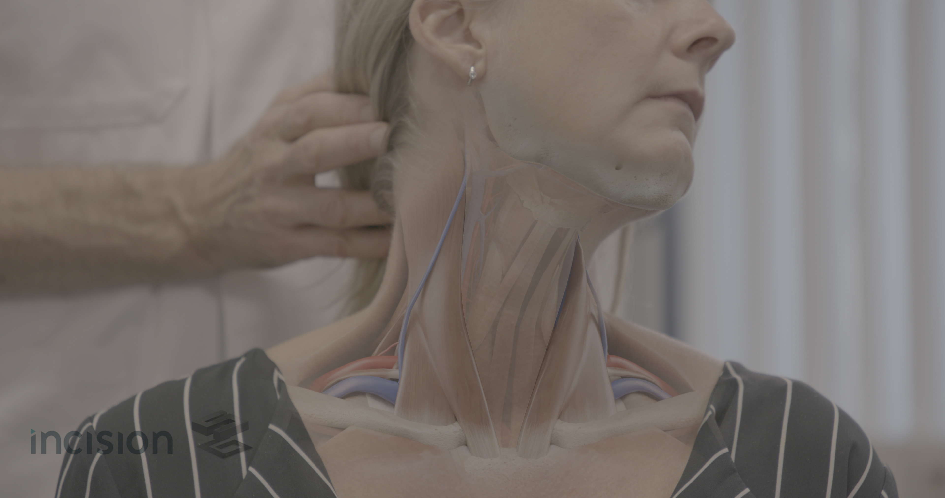 Examination of the neck - CGI overlay, final comp.