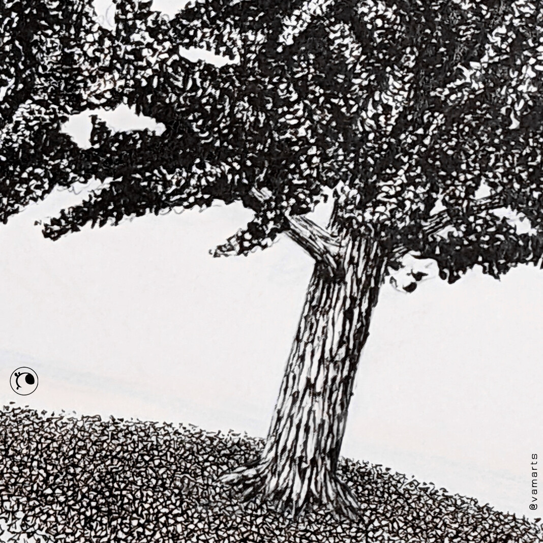 ArtStation - Ginkgo tree ink drawing