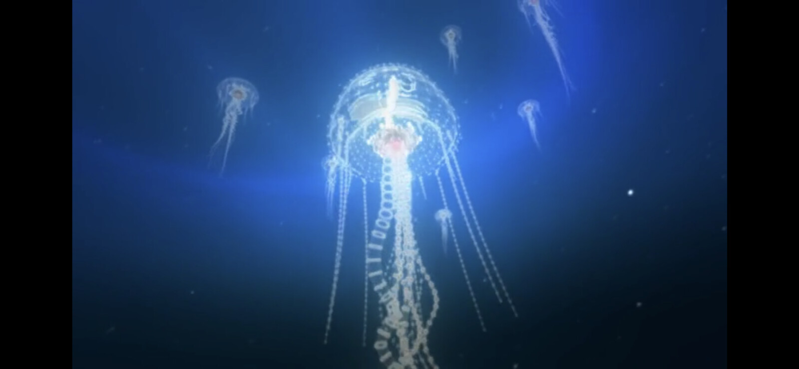 Electric Jellyfish Test Animation