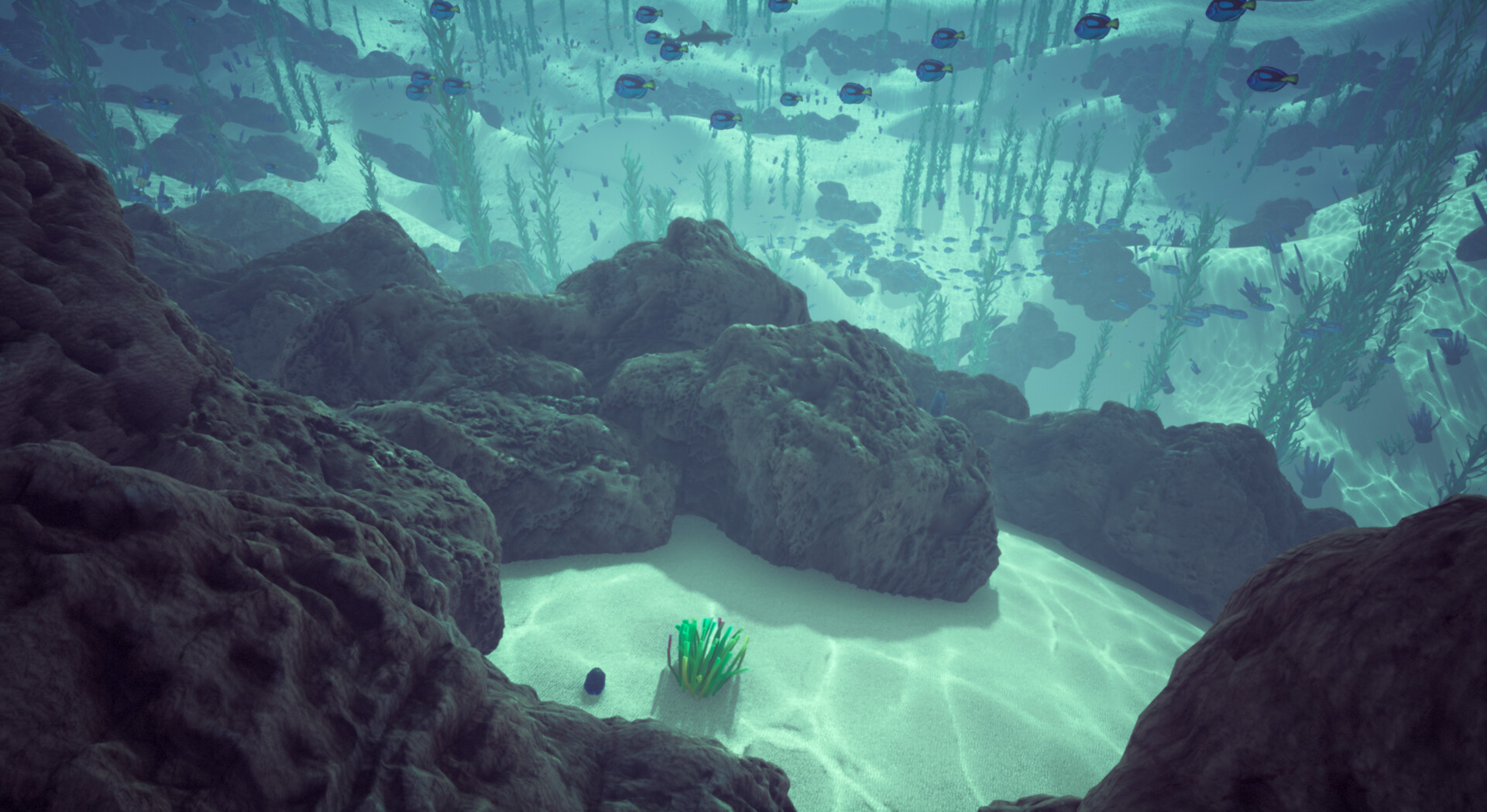 Underwater beach environment