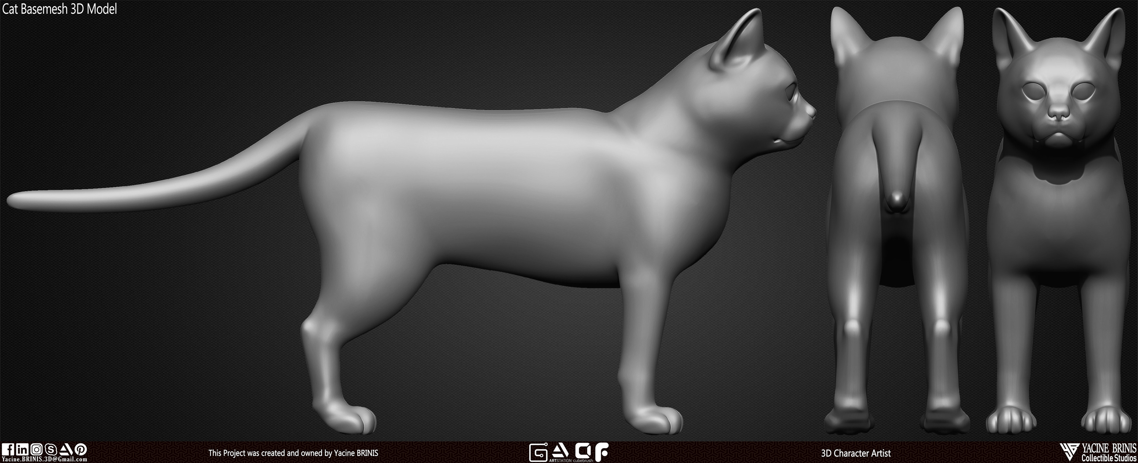 Cat Basemesh 3D Model sculpted By Yacine BRINIS set 005