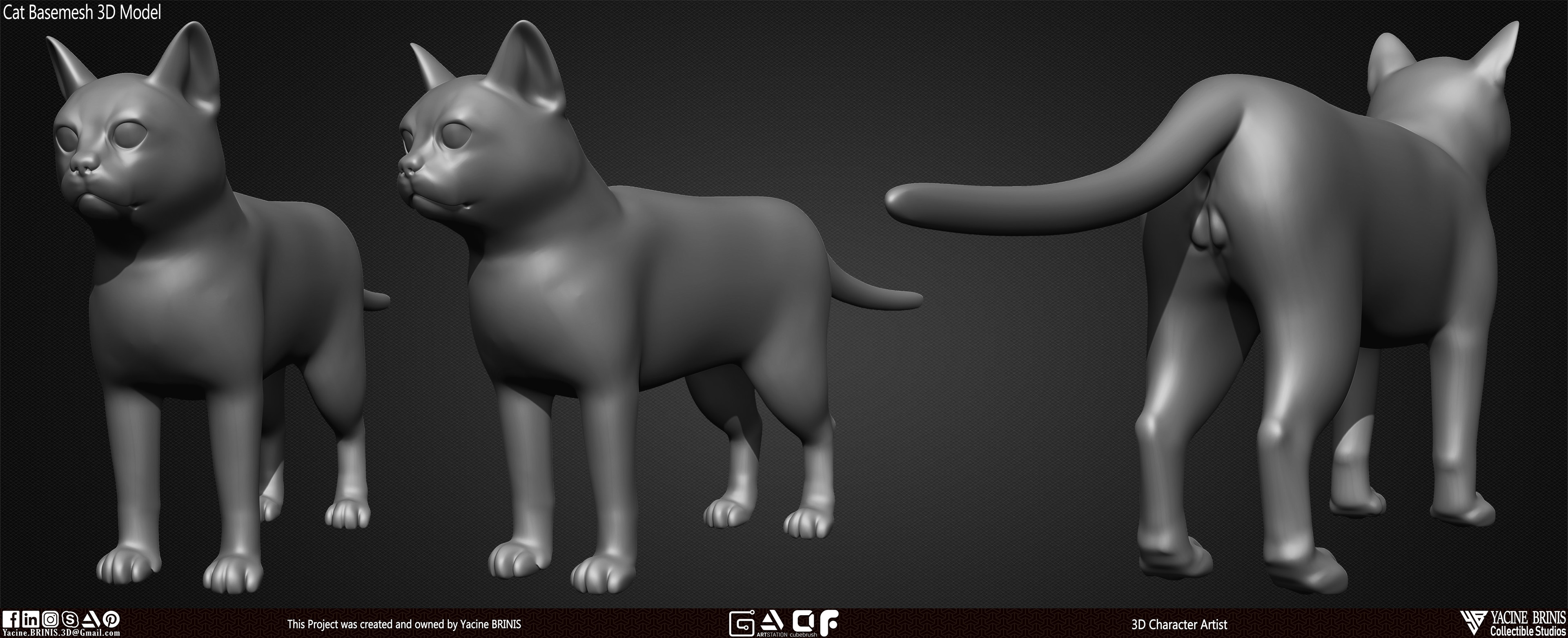 Cat Basemesh 3D Model sculpted By Yacine BRINIS set 003