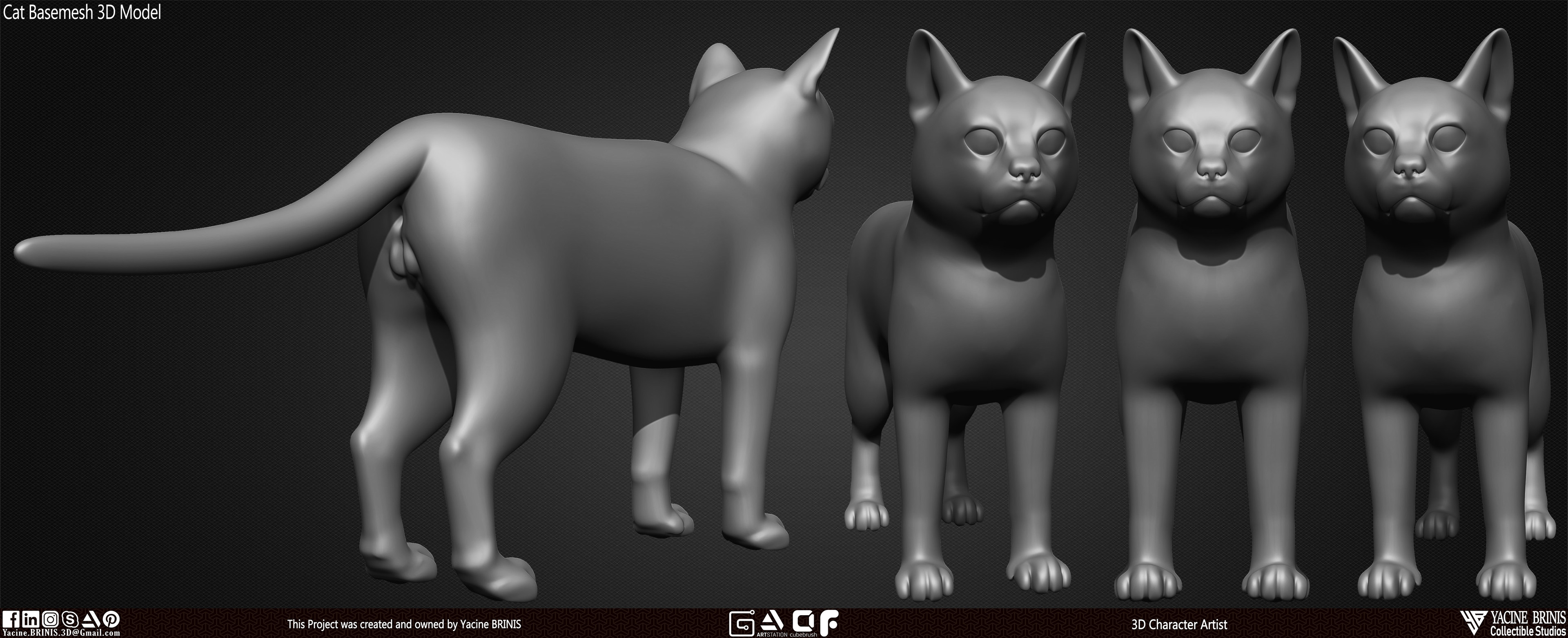 Cat Basemesh 3D Model sculpted By Yacine BRINIS set 004