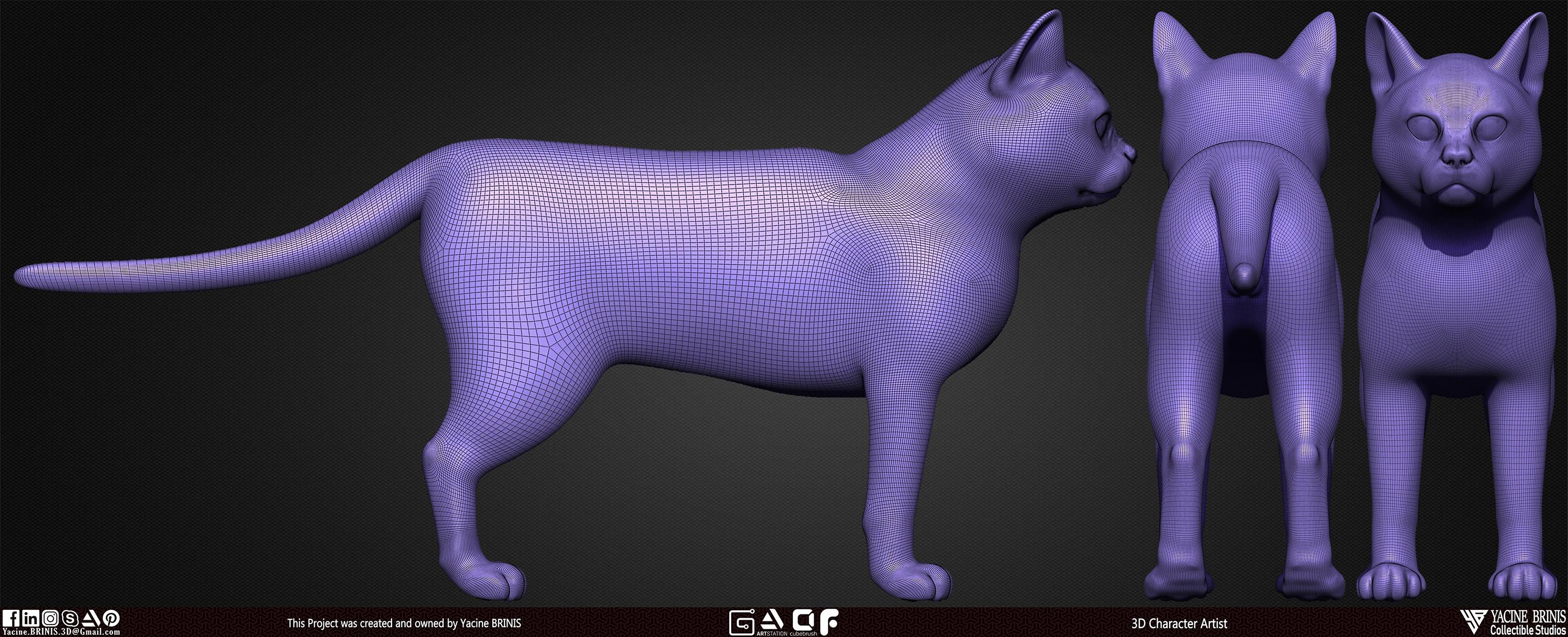 Cat Basemesh 3D Model sculpted By Yacine BRINIS set 007