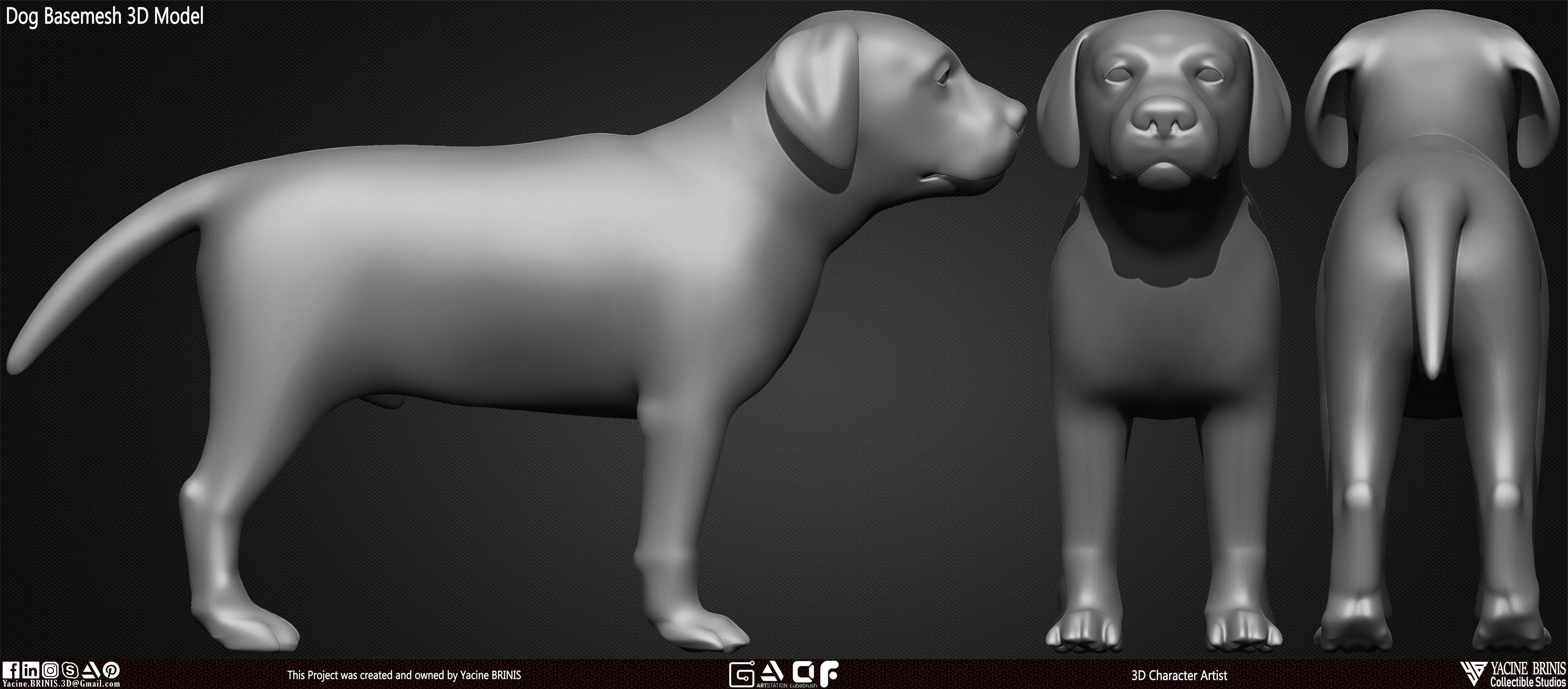 Dog Basemesh 3D Model Vol 01 sculpted By Yacine BRINIS Set 002