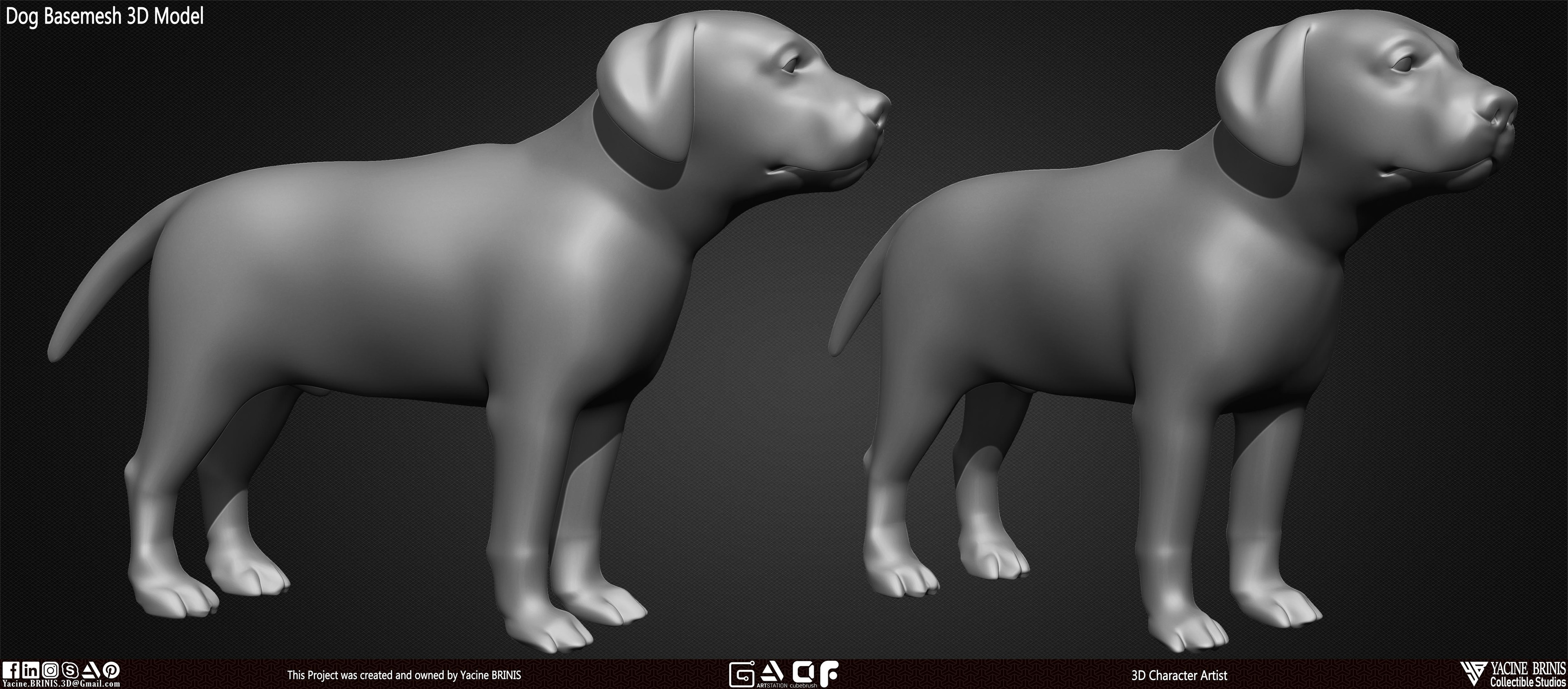 Dog Basemesh 3D Model Vol 01 sculpted By Yacine BRINIS Set 003