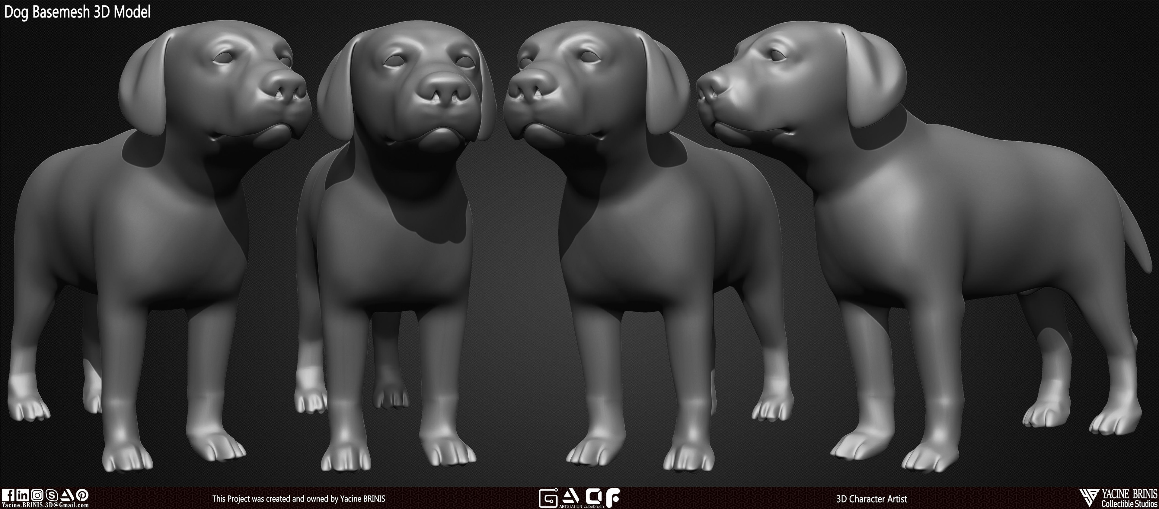 Dog Basemesh 3D Model Vol 01 sculpted By Yacine BRINIS Set 001