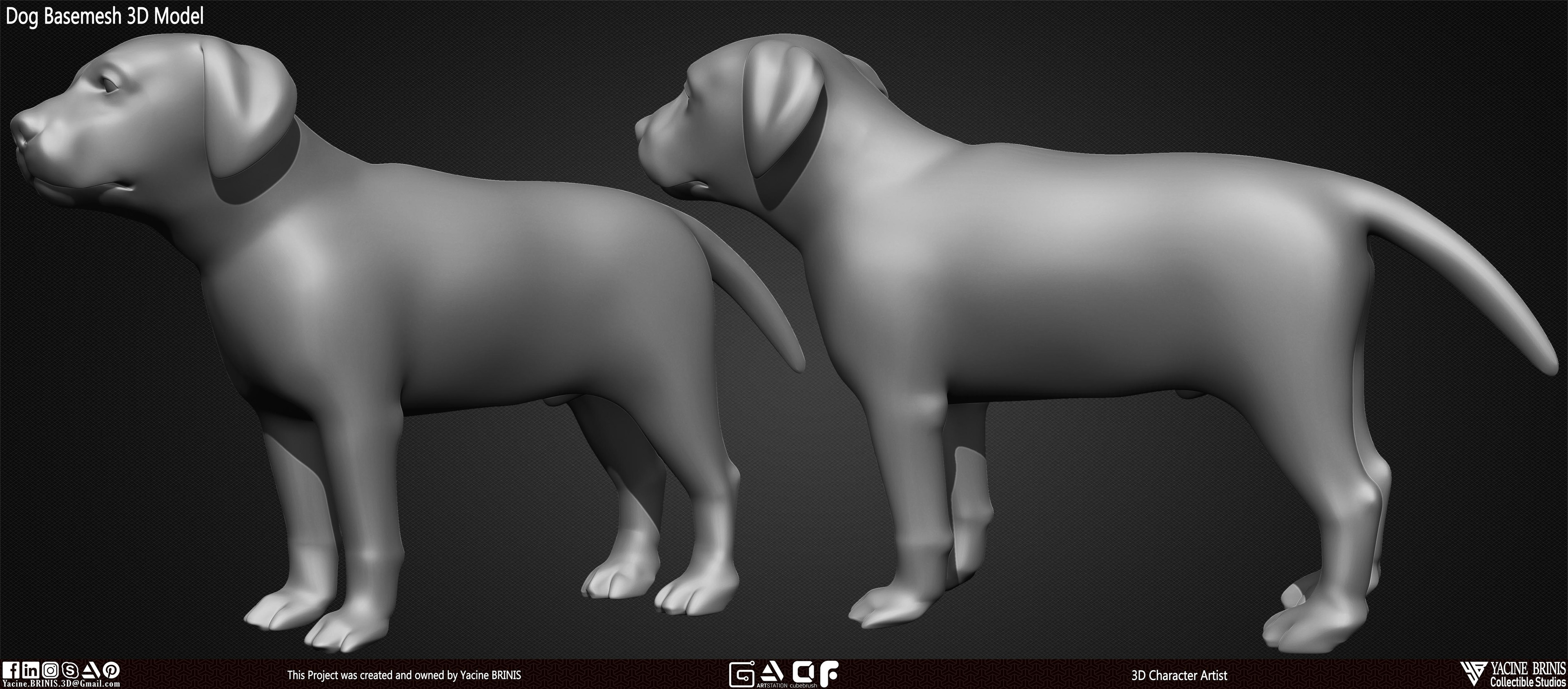 Dog Basemesh 3D Model Vol 01 sculpted By Yacine BRINIS Set 004