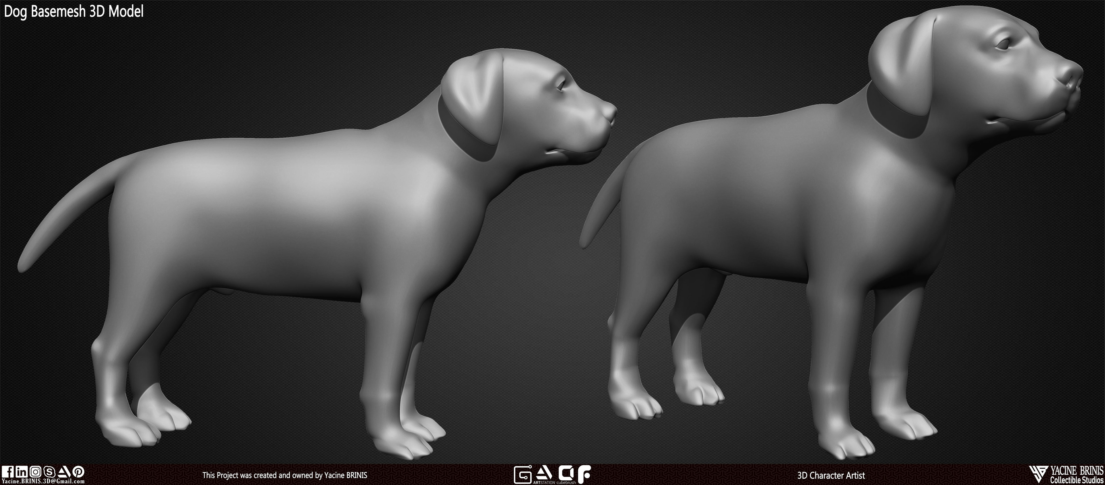Dog Basemesh 3D Model Vol 01 sculpted By Yacine BRINIS Set 006