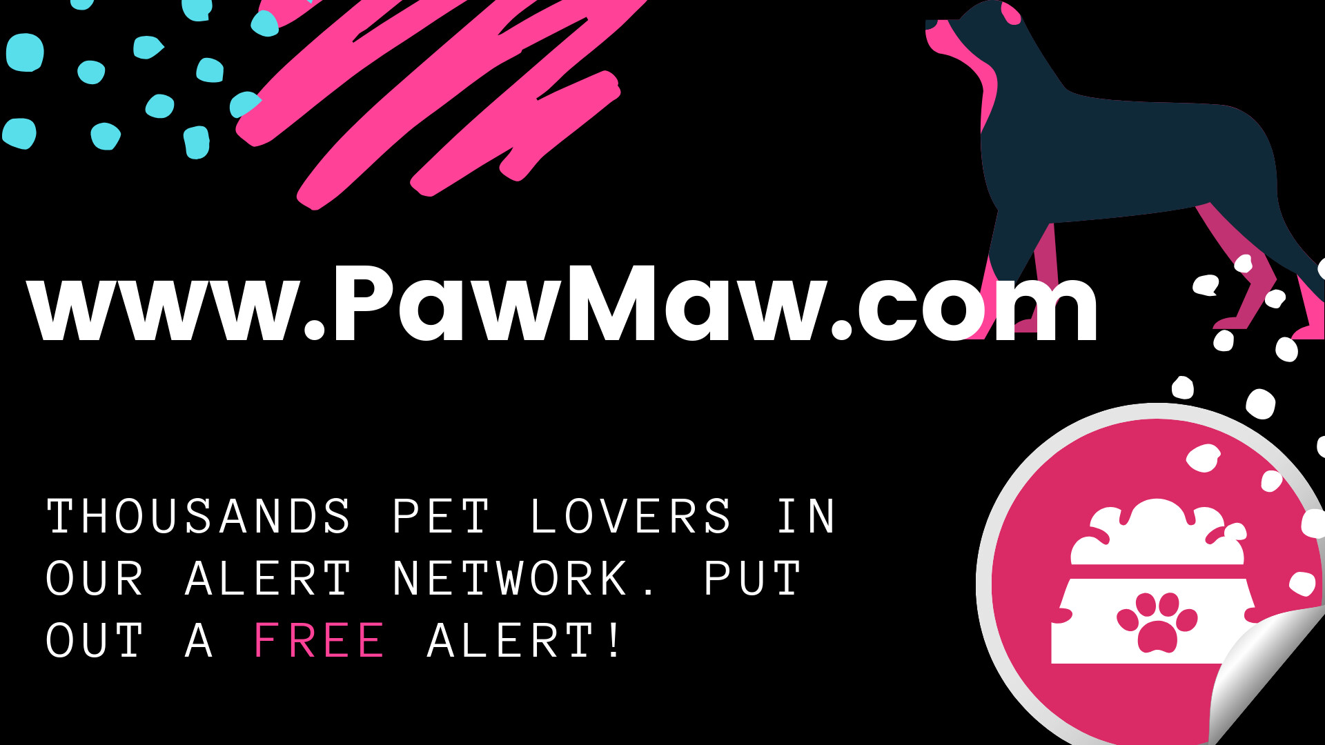 pawmaw How to Entertain Your Dog While You're at Work