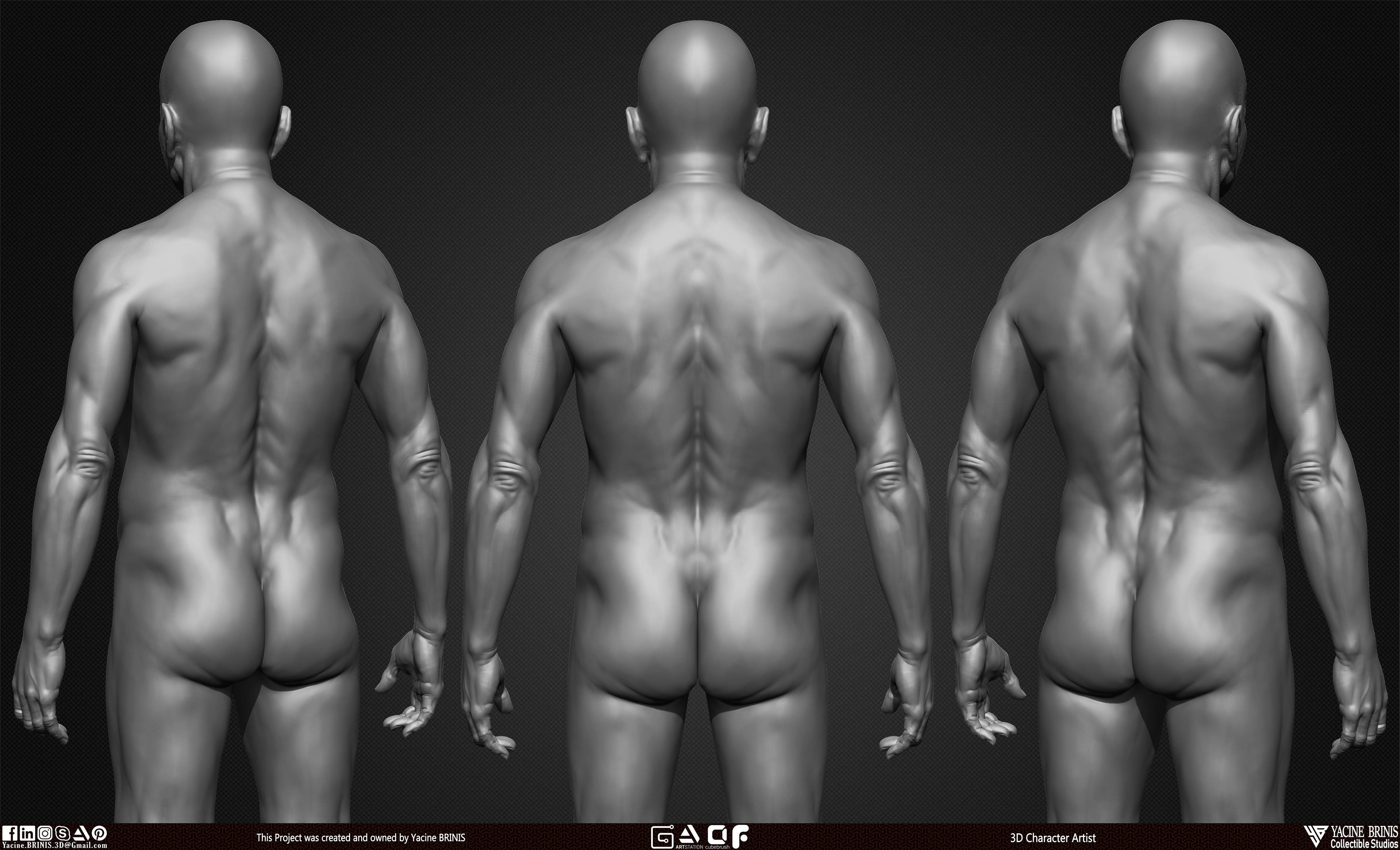 Old Man Basemesh 3D Model By Yacine BRINIS Anatomy Set 006