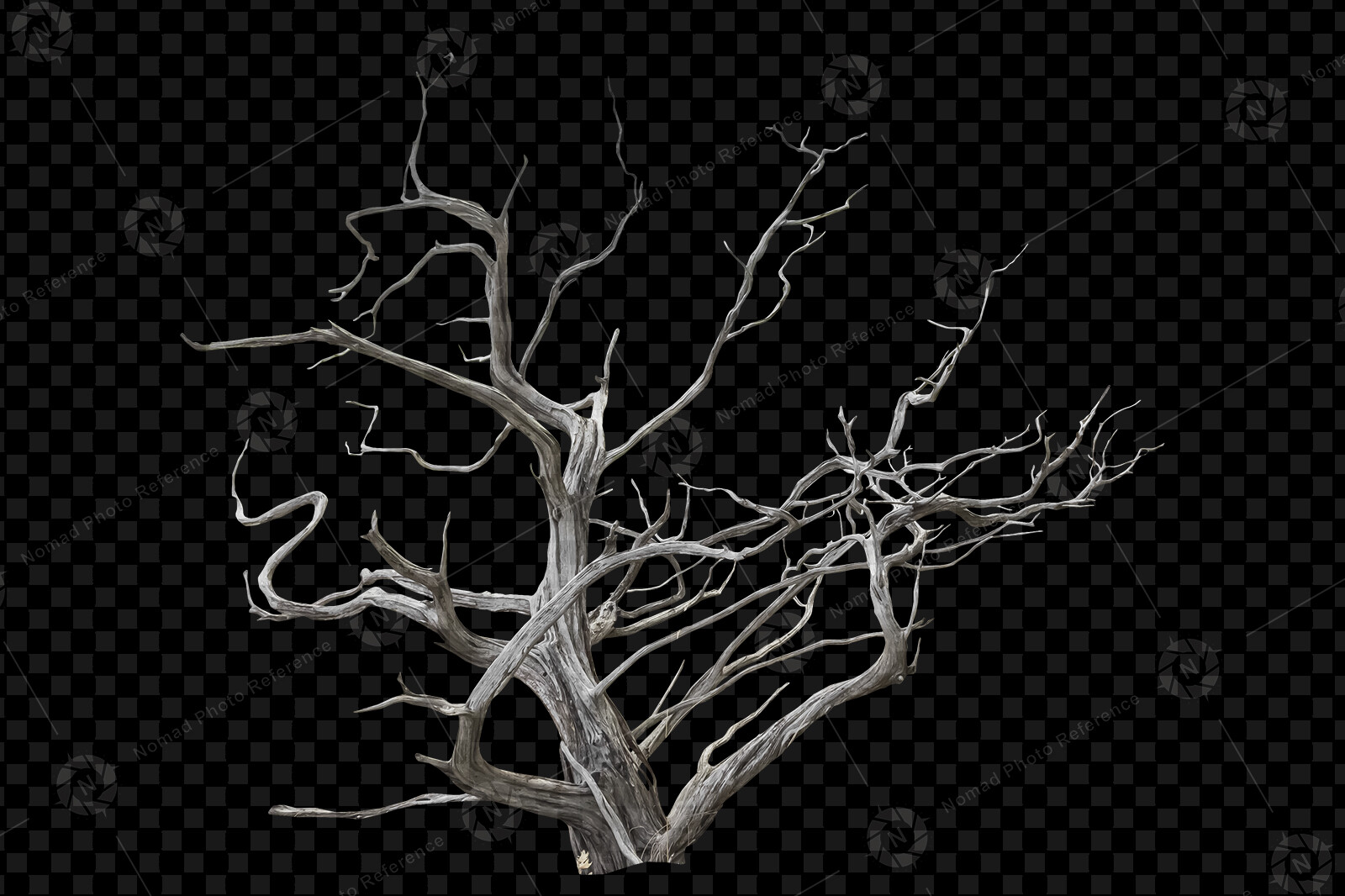 From the PNG Photo Pack: Scary Trees

https://www.artstation.com/a/13634543