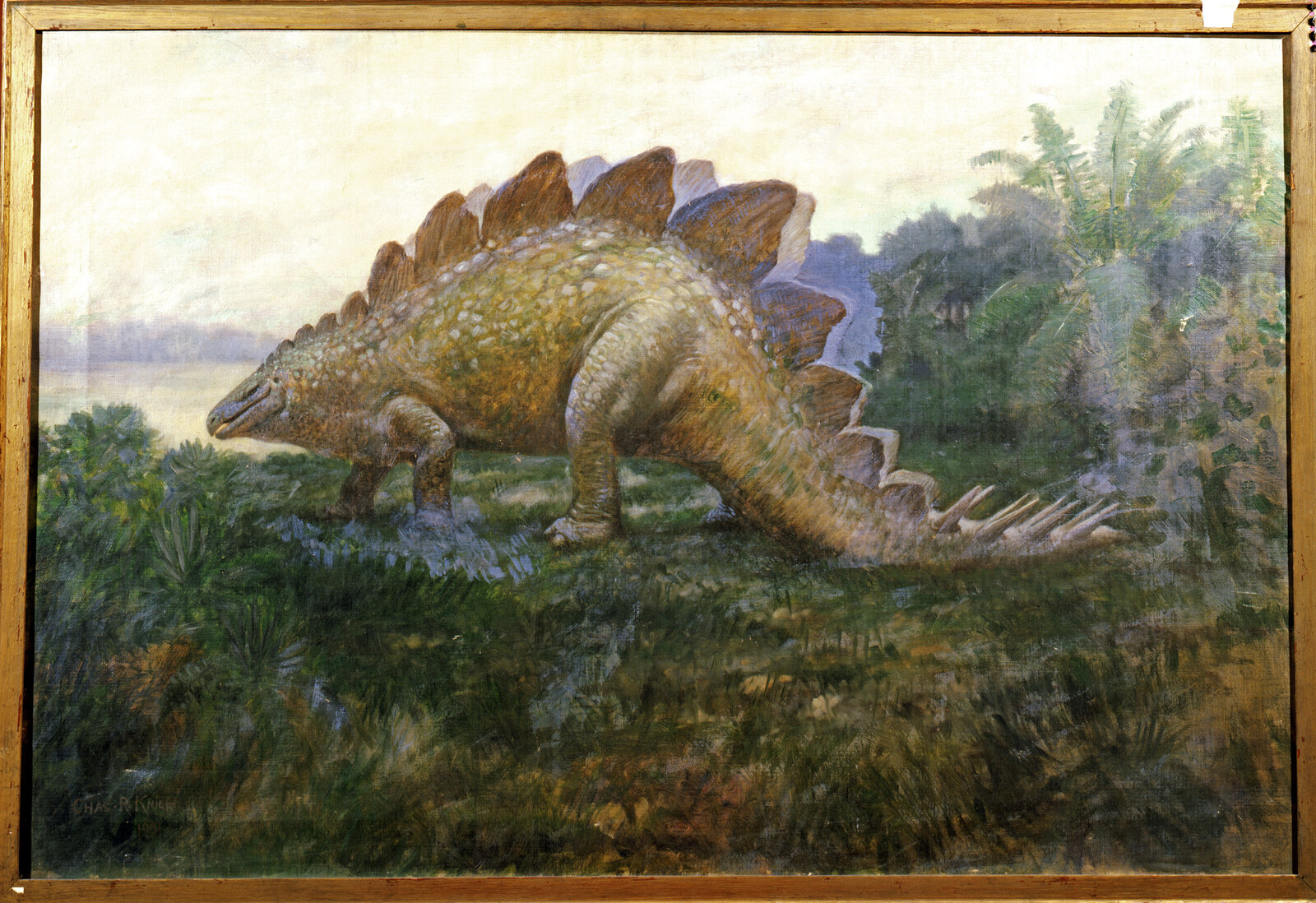 Original Painting (Charles R. Knight's Stegosaurus, 1901)