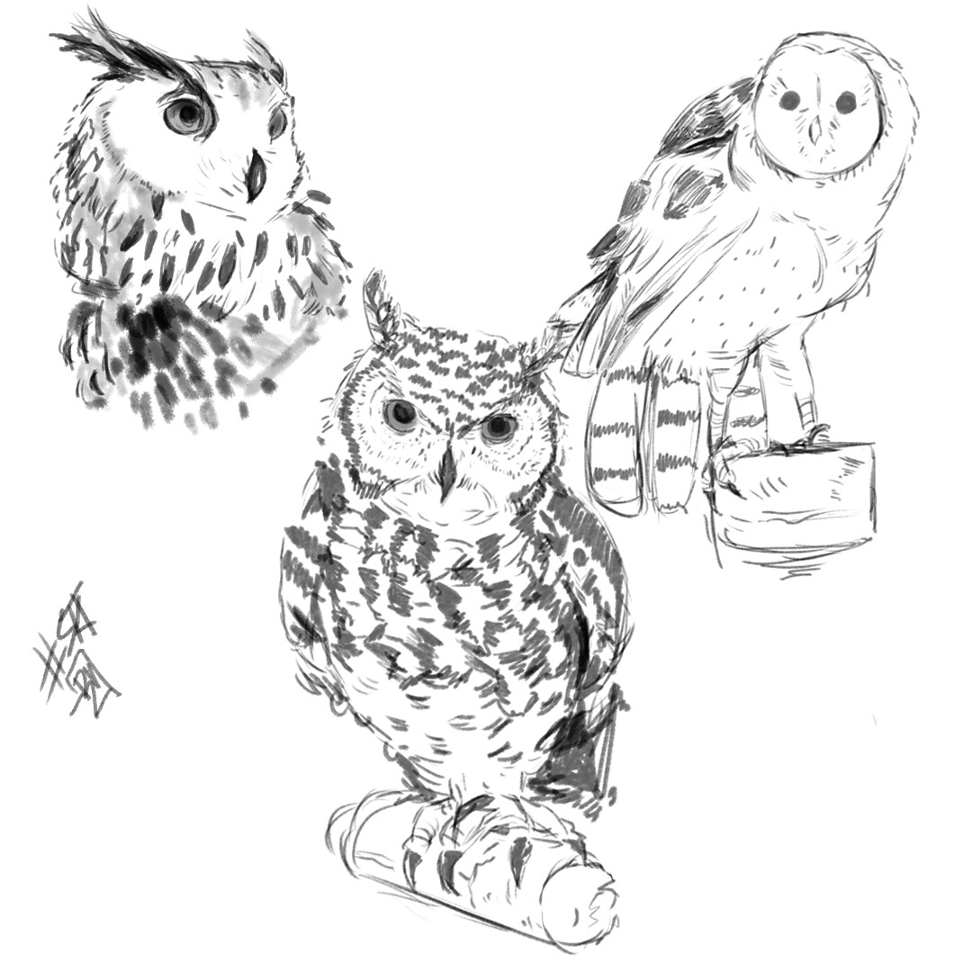 ArtStation - Owl