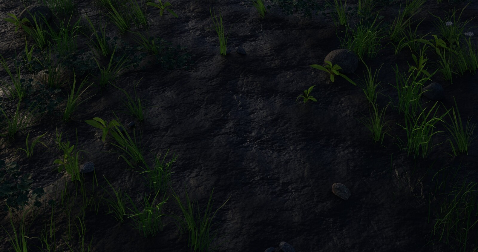 Dusk