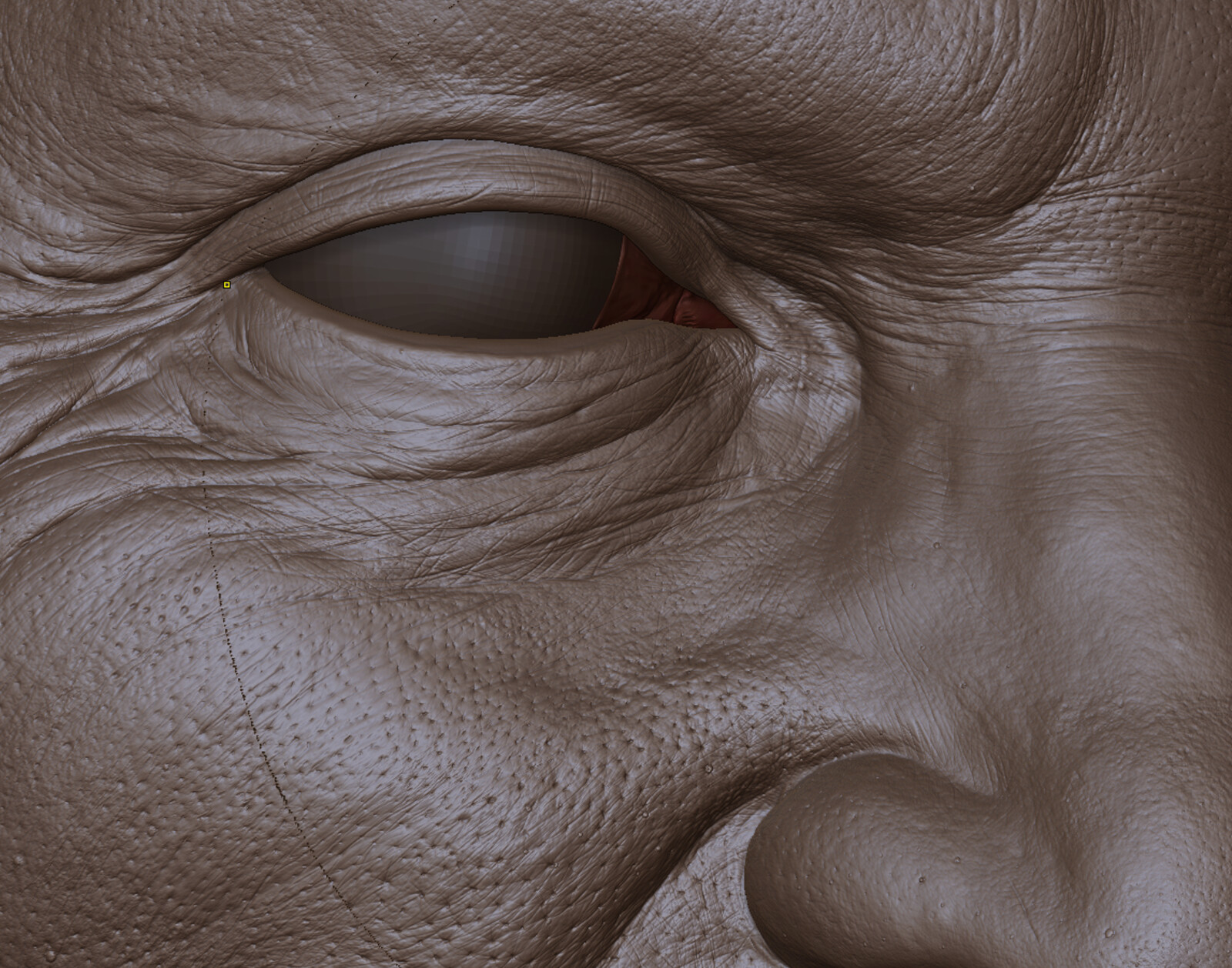 zbrush view