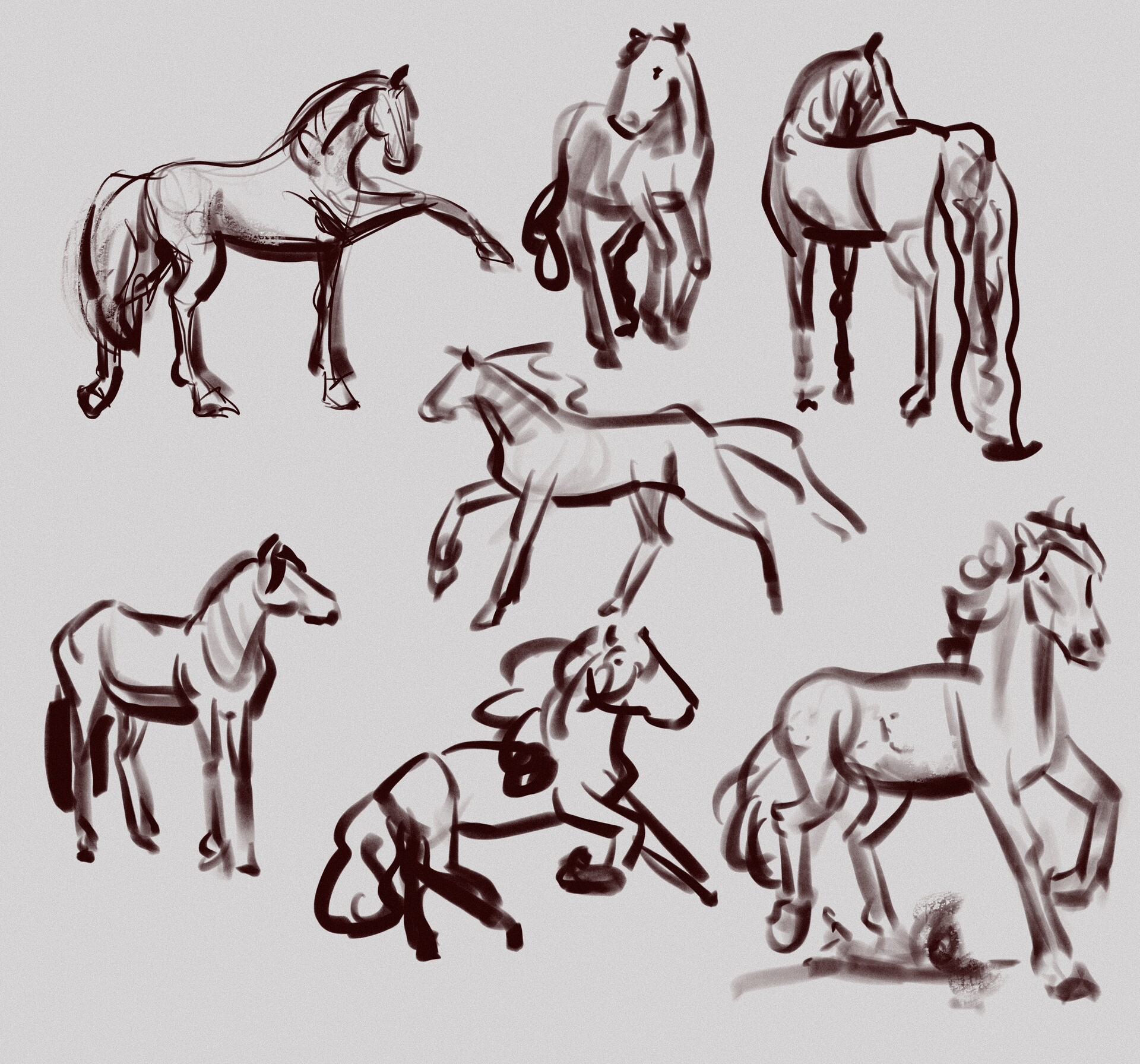 Horse Sketches : r/drawing