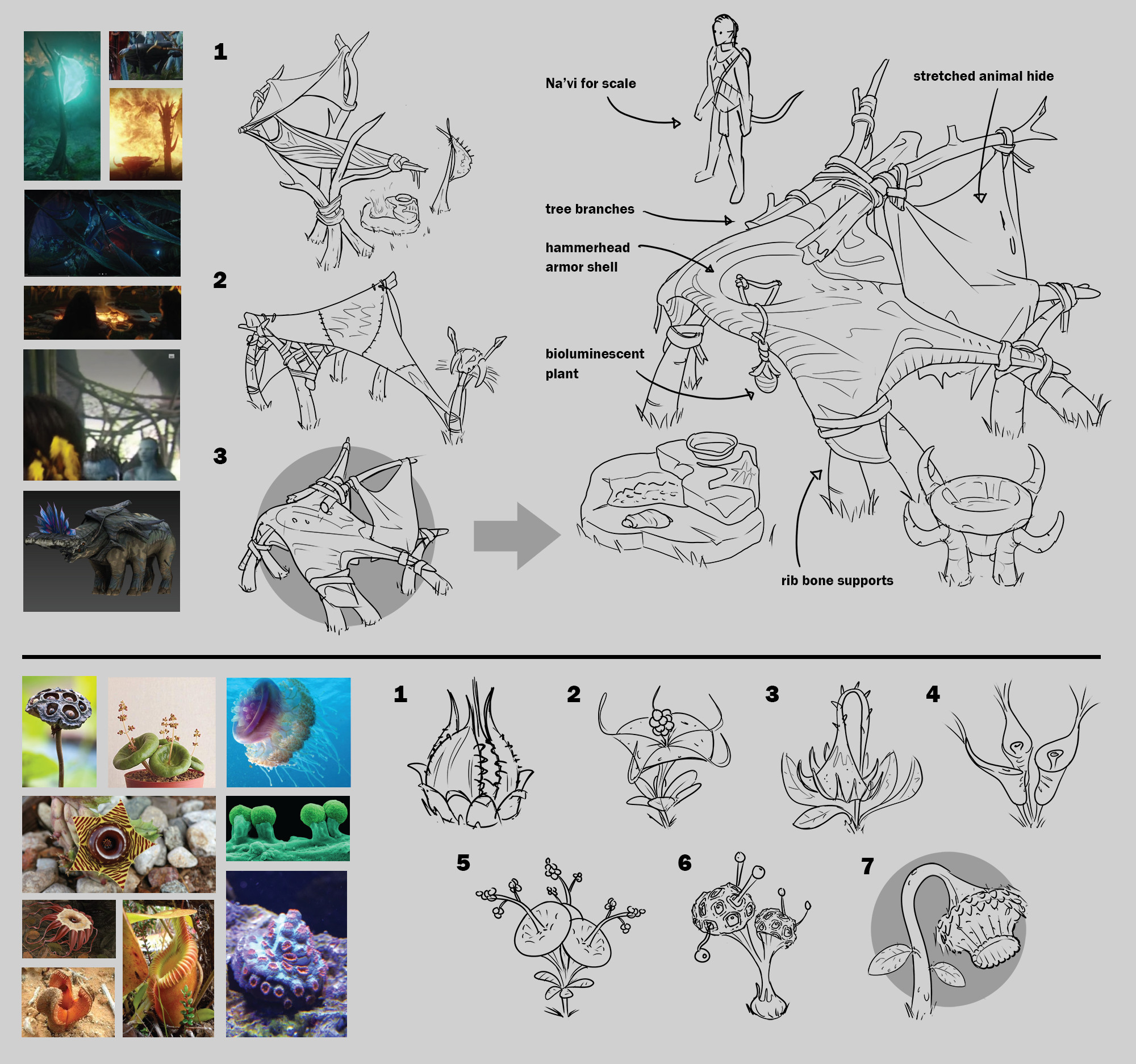 This process page shows how I translated movie still reference into my initial structure concepts.  For my alien plant, I referenced real-world flora as well as undersea creatures, coral, and images of microscopic organisms.