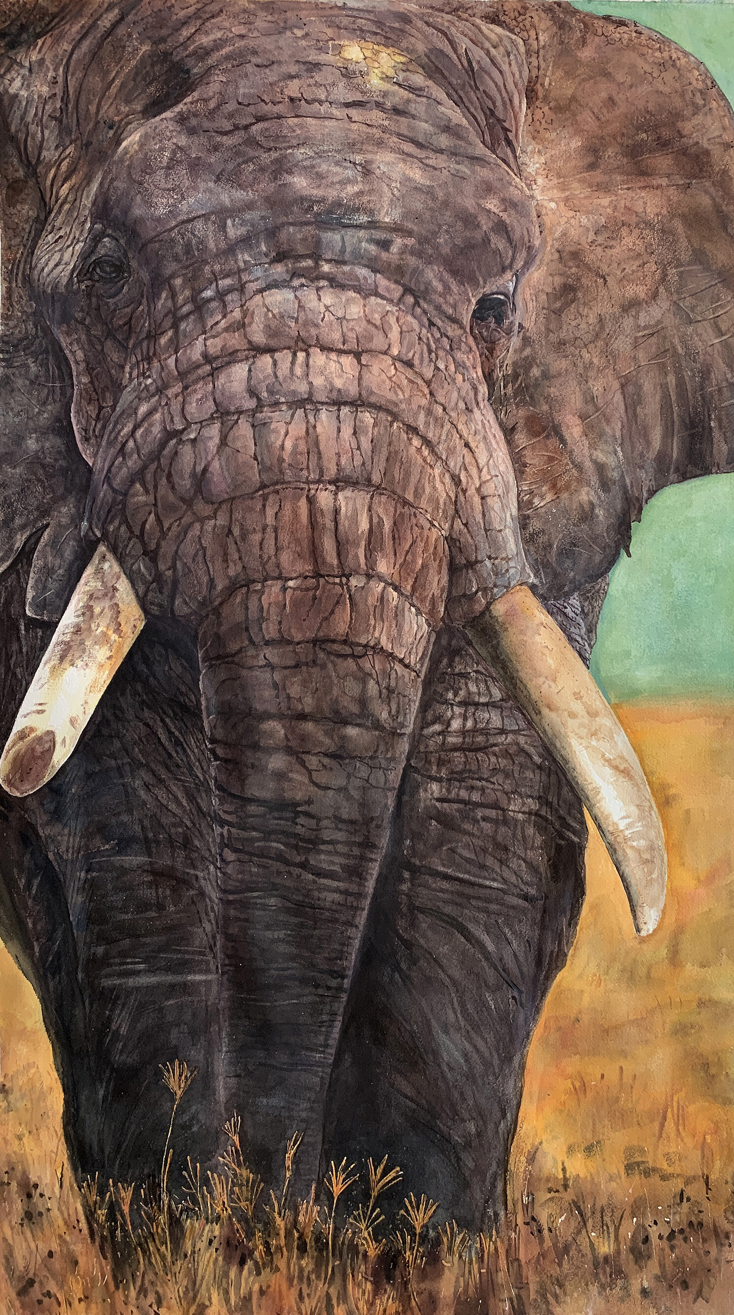 ArtStation - (African safari animal forest) watercolor