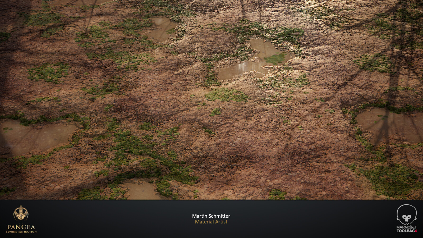 Ponds Variation 2 Plane Render