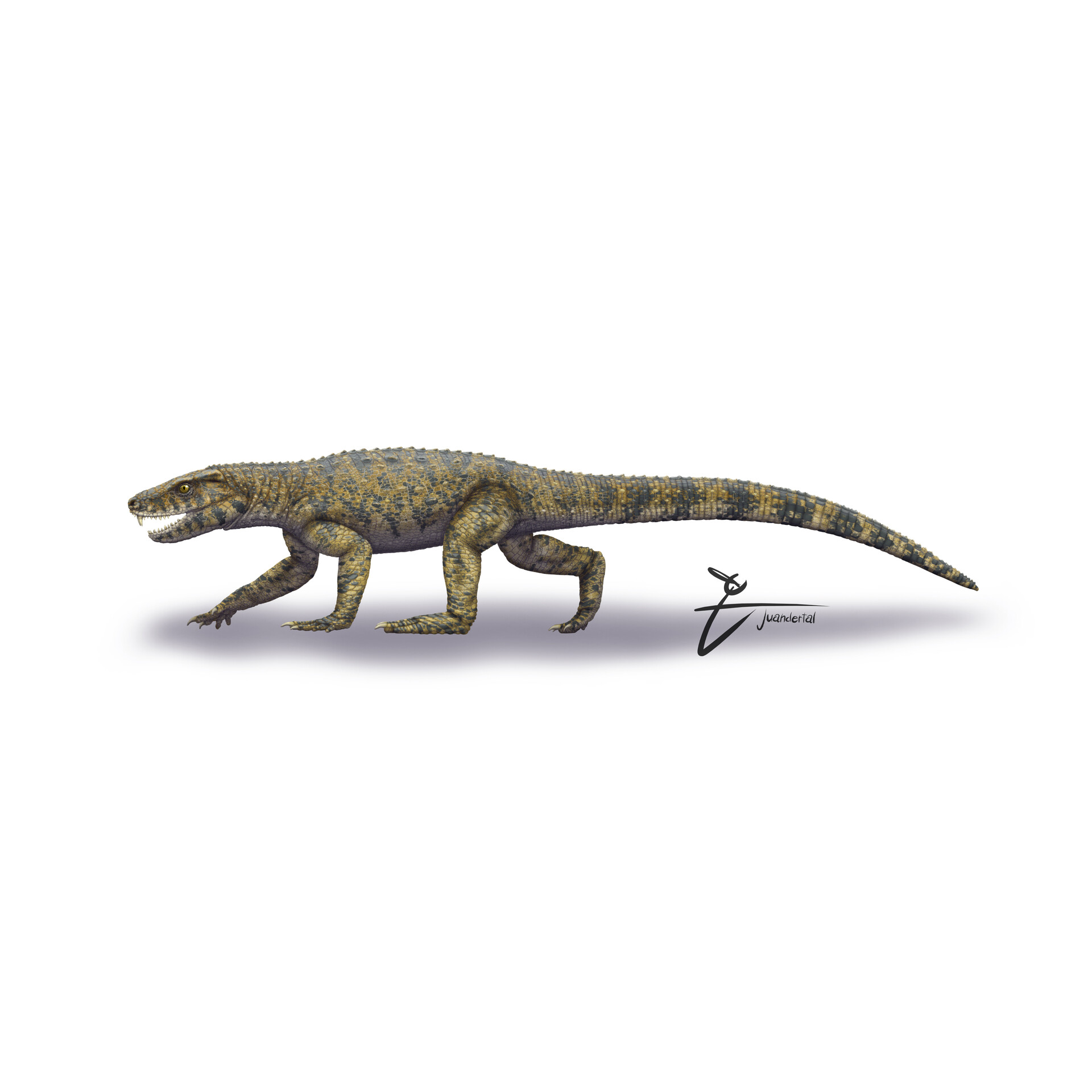 Juandertal - Fauna from Upper Cretaceous Argentina pt. 1