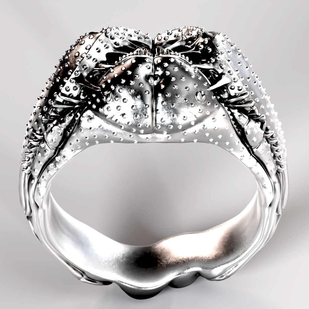 Amblypygid ring rendered in Arnold for Maya