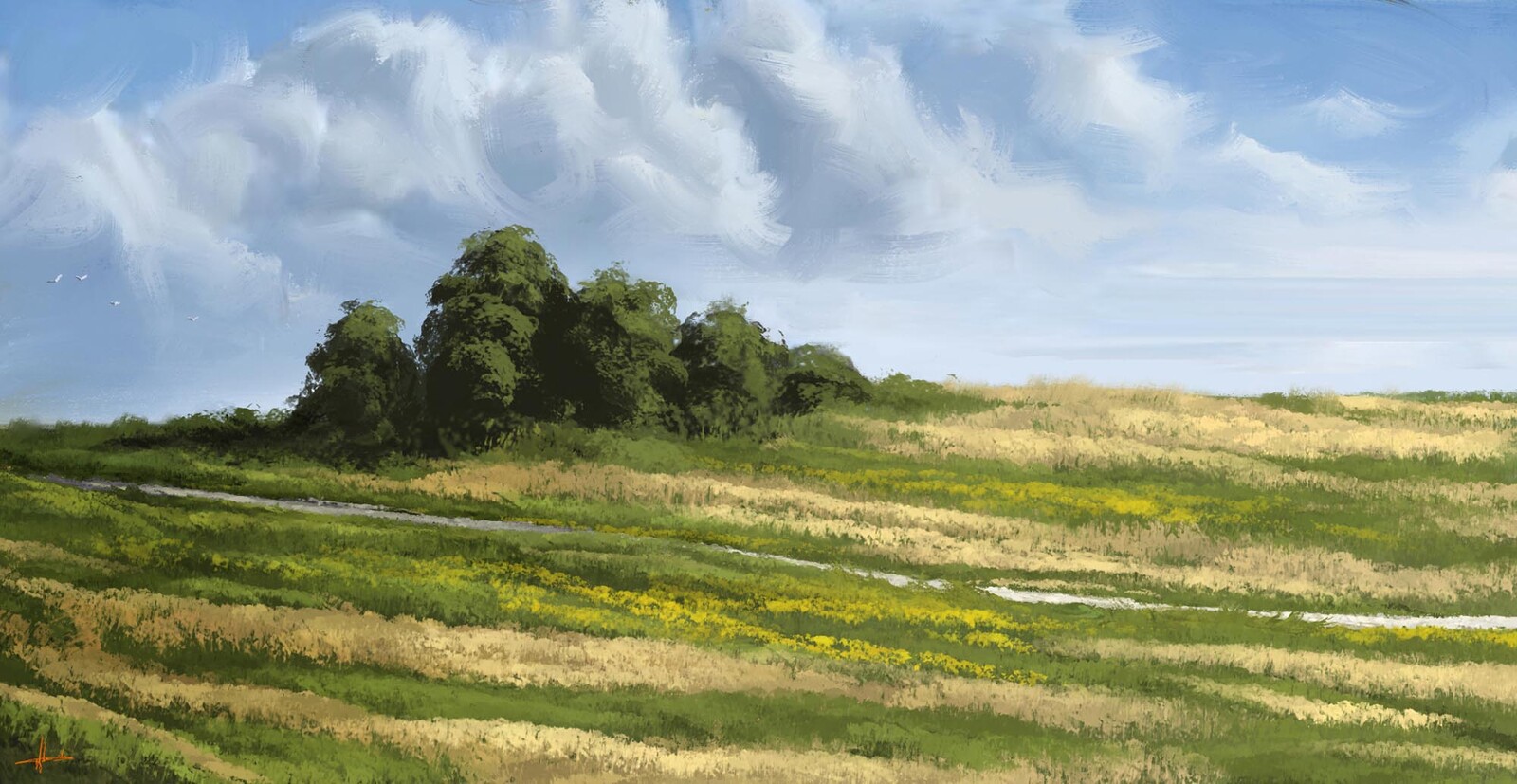 Digital Landscape Painting - Wide Grassfield