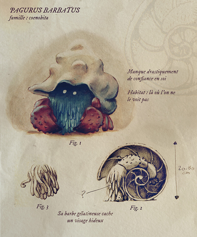 ArtStation Pagurus Barbatus