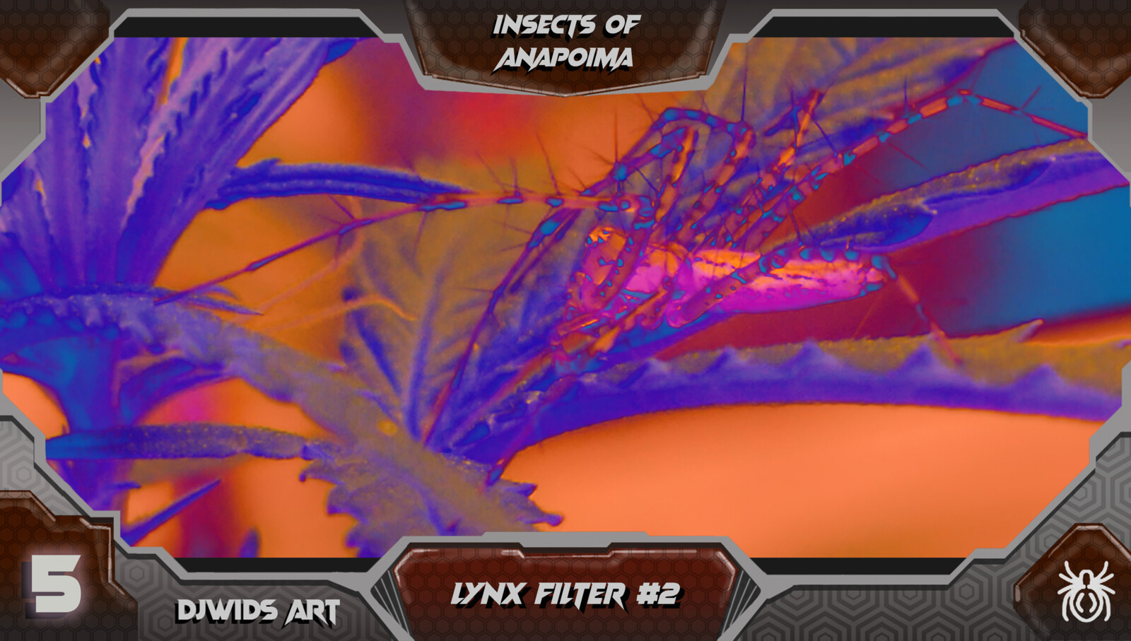 Lynx Spider Filtered Photography with Layout for an NFT Collection, created to fund a Tropical Dry Forest Conservation Program