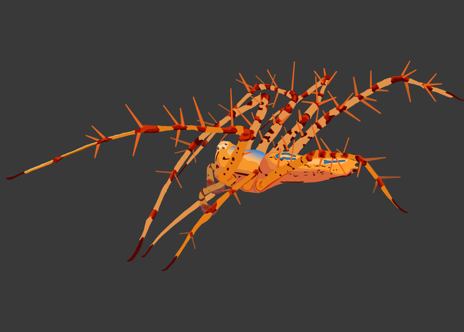 A Draft over a Picture Who became an NFT Collection, created to fund a Tropical Dry Forest Conservation Program