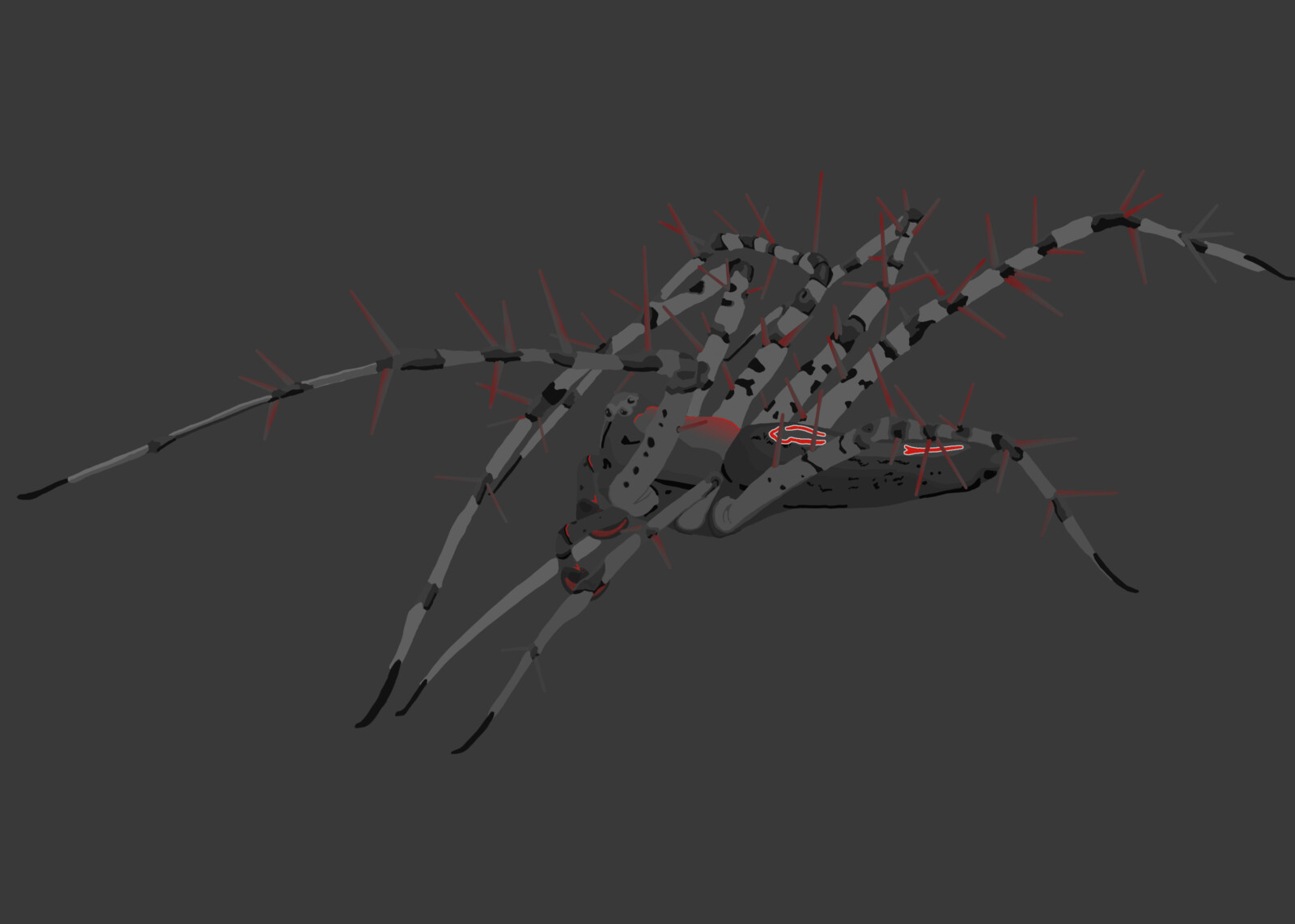 A Draft over a Picture Who became an NFT Collection, created to fund a Tropical Dry Forest Conservation Program