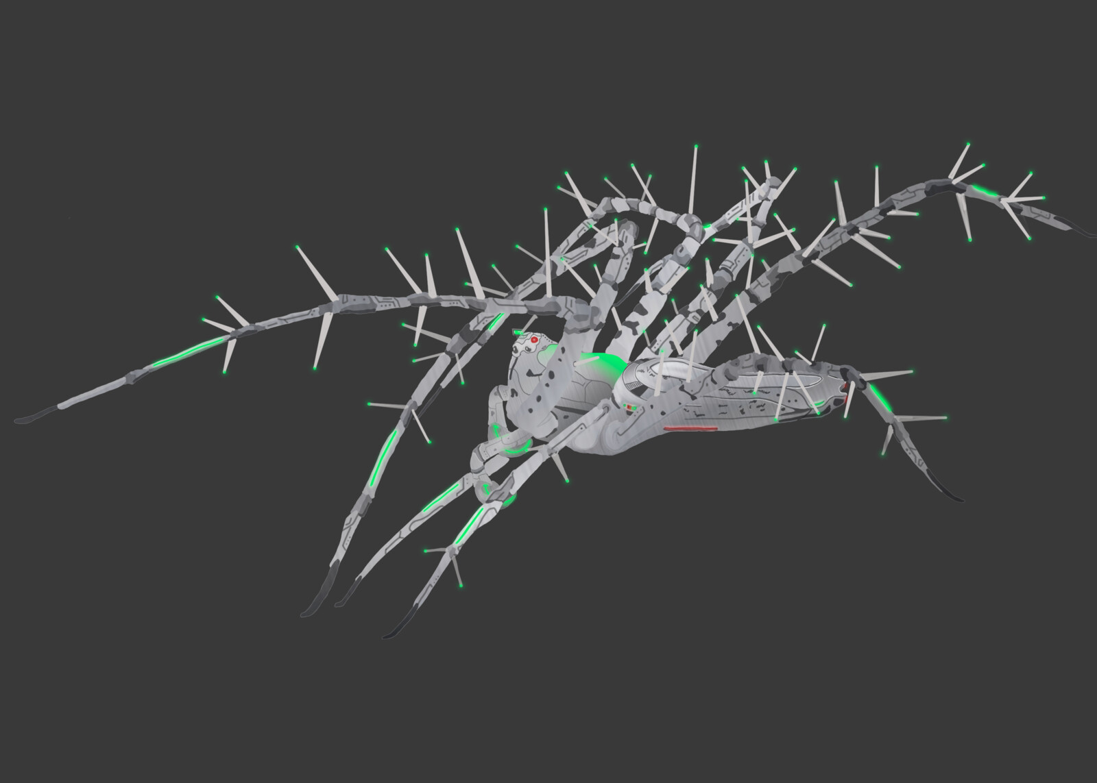 A Draft over a Picture Who became an NFT Collection, created to fund a Tropical Dry Forest Conservation Program