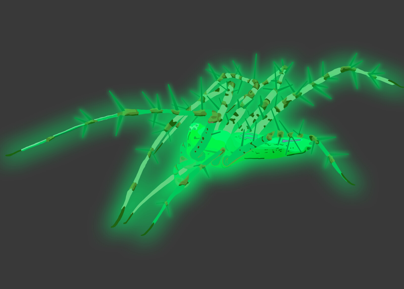A Draft over a Picture Who became an NFT Collection, created to fund a Tropical Dry Forest Conservation Program