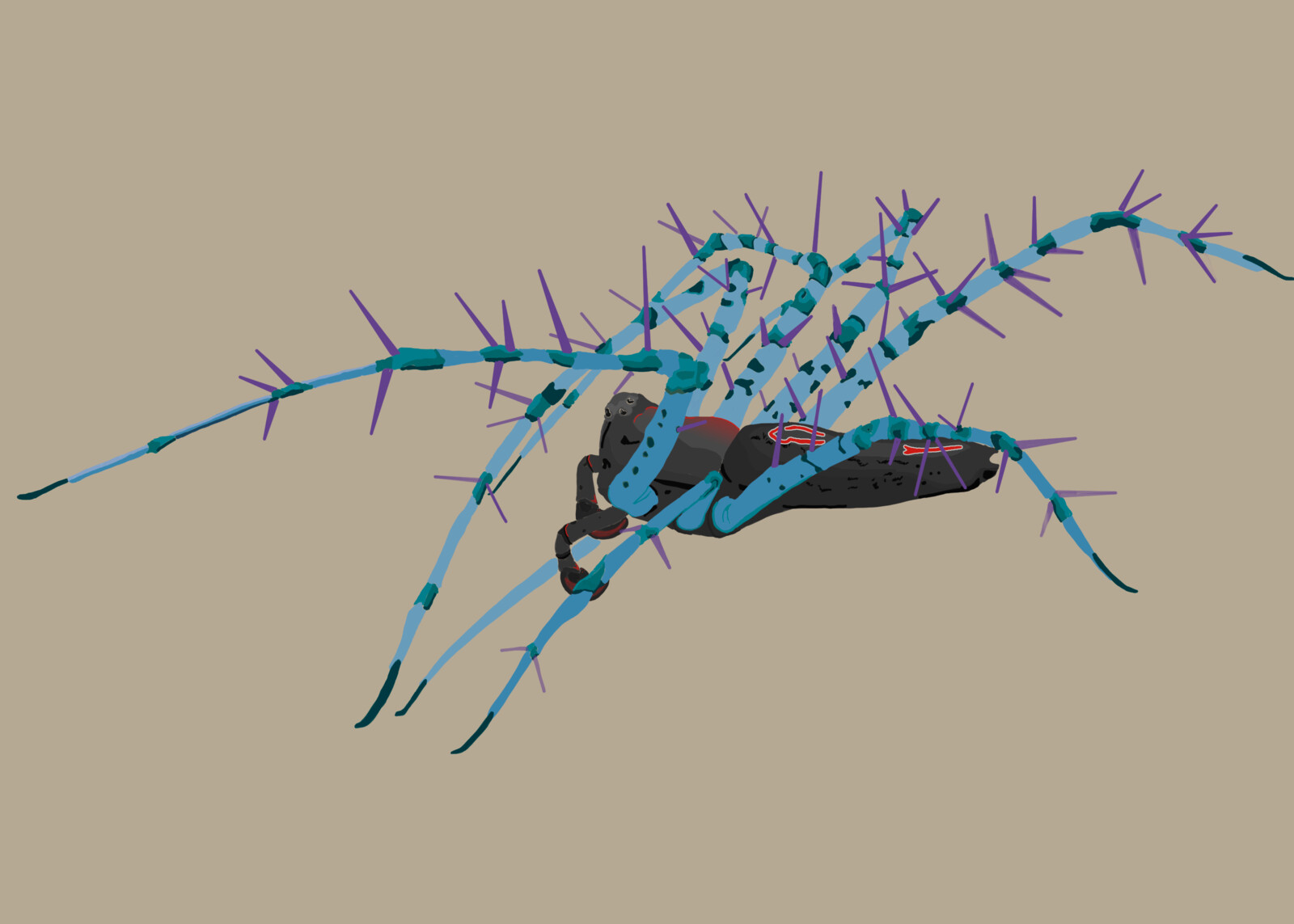A Draft over a Picture Who became an NFT Collection, created to fund a Tropical Dry Forest Conservation Program