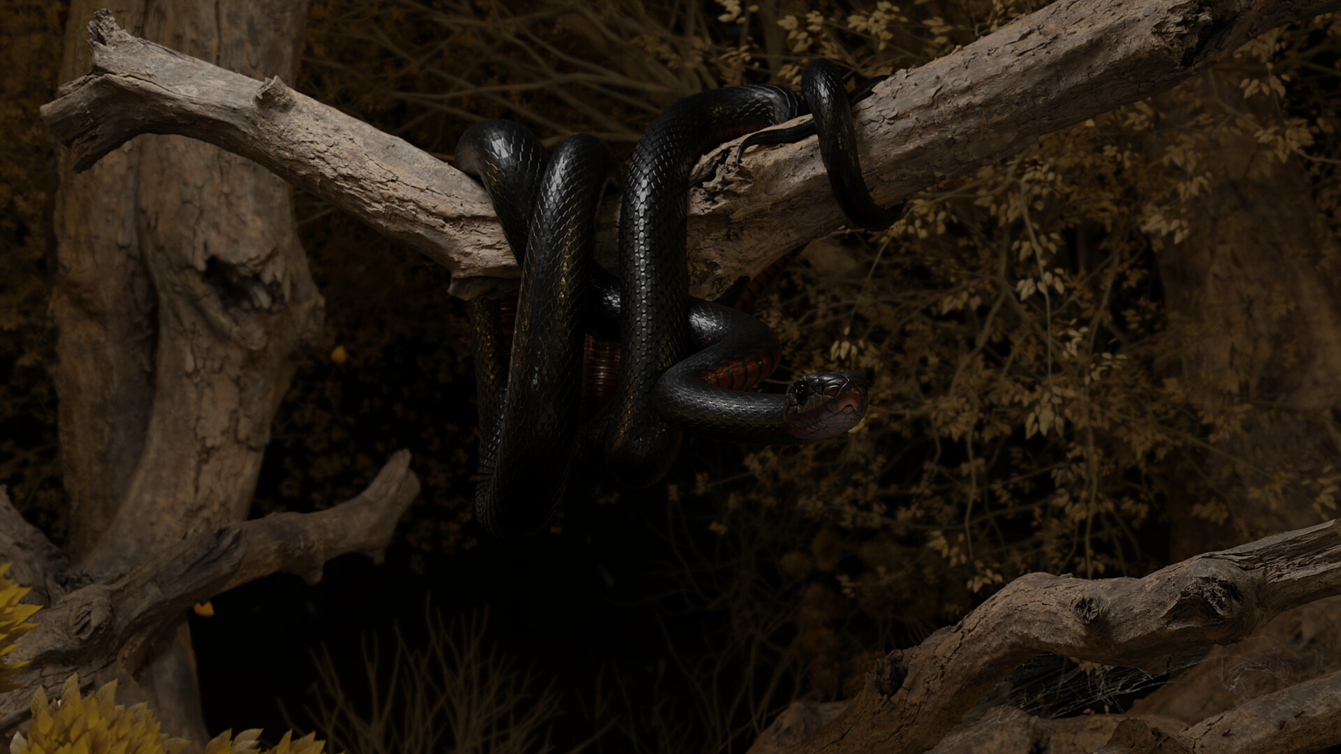 ArtStation - Red-bellied Black Snake