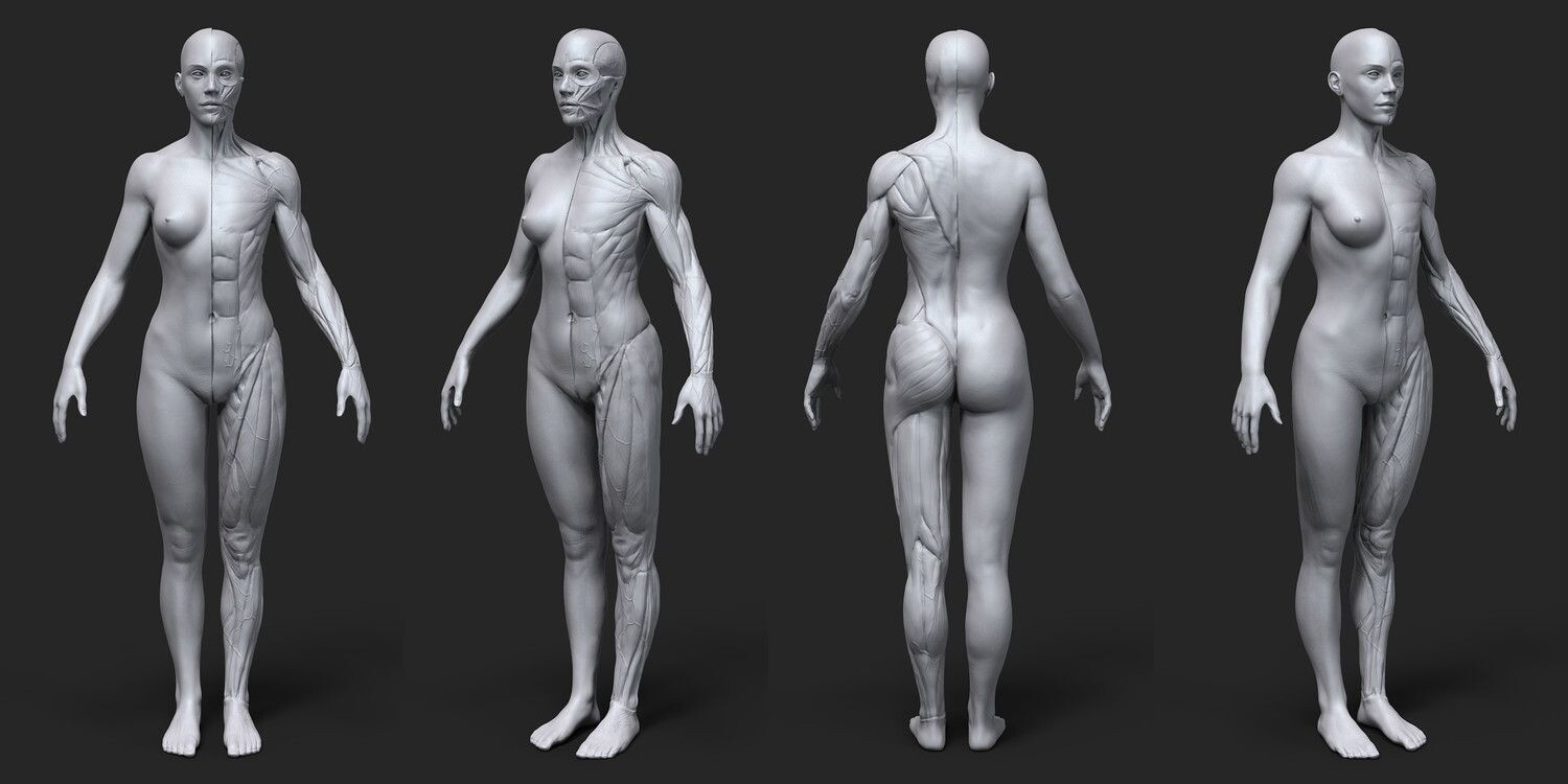 ArtStation - 250+ Reference Photos - Female Body in Motion