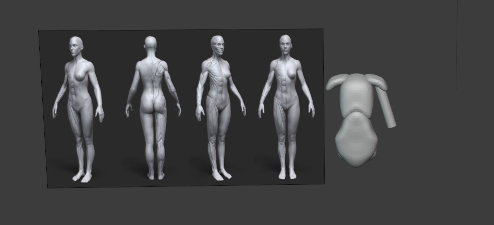 ArtStation - Sculpt 3D Female Body