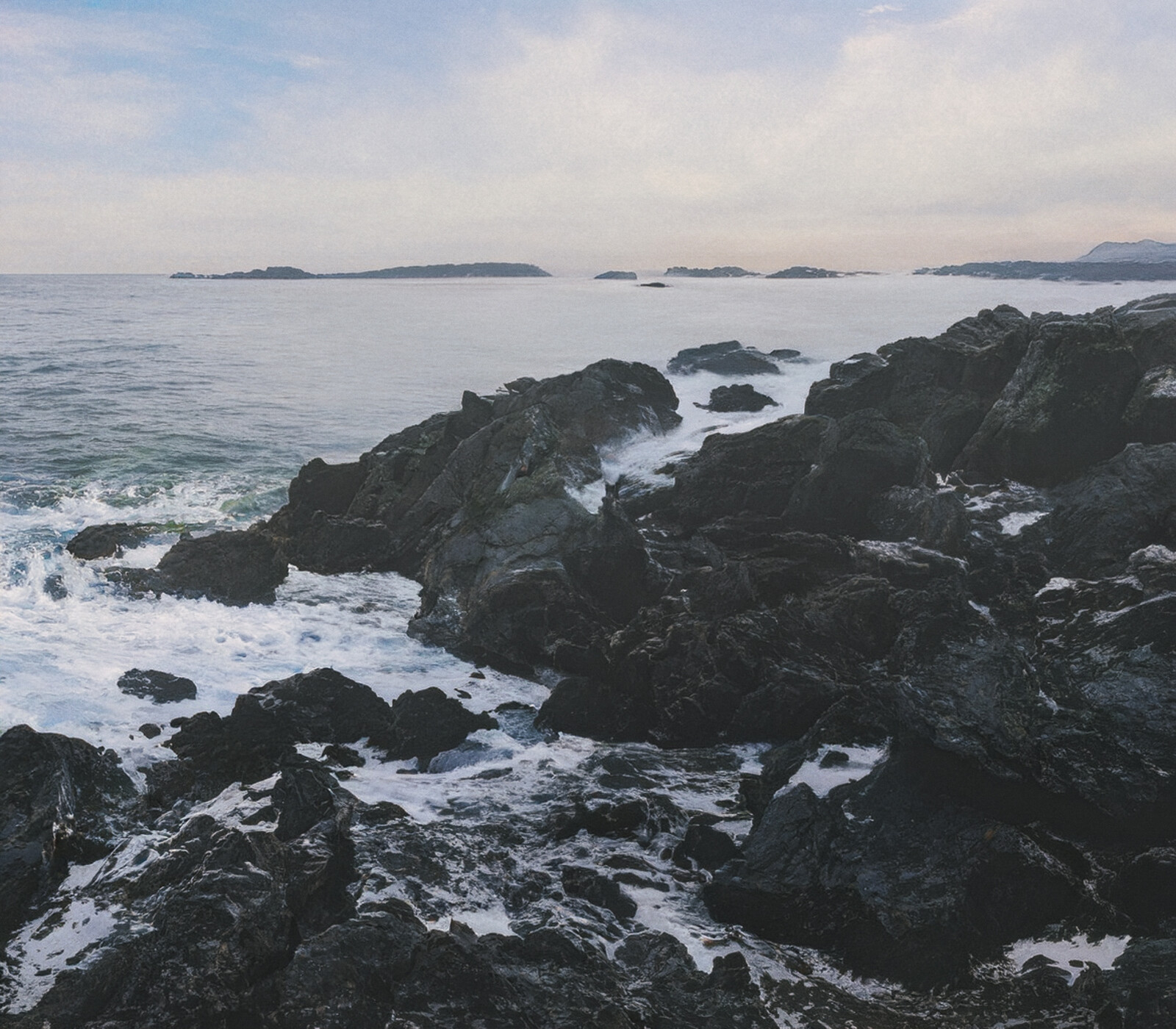 The Waves