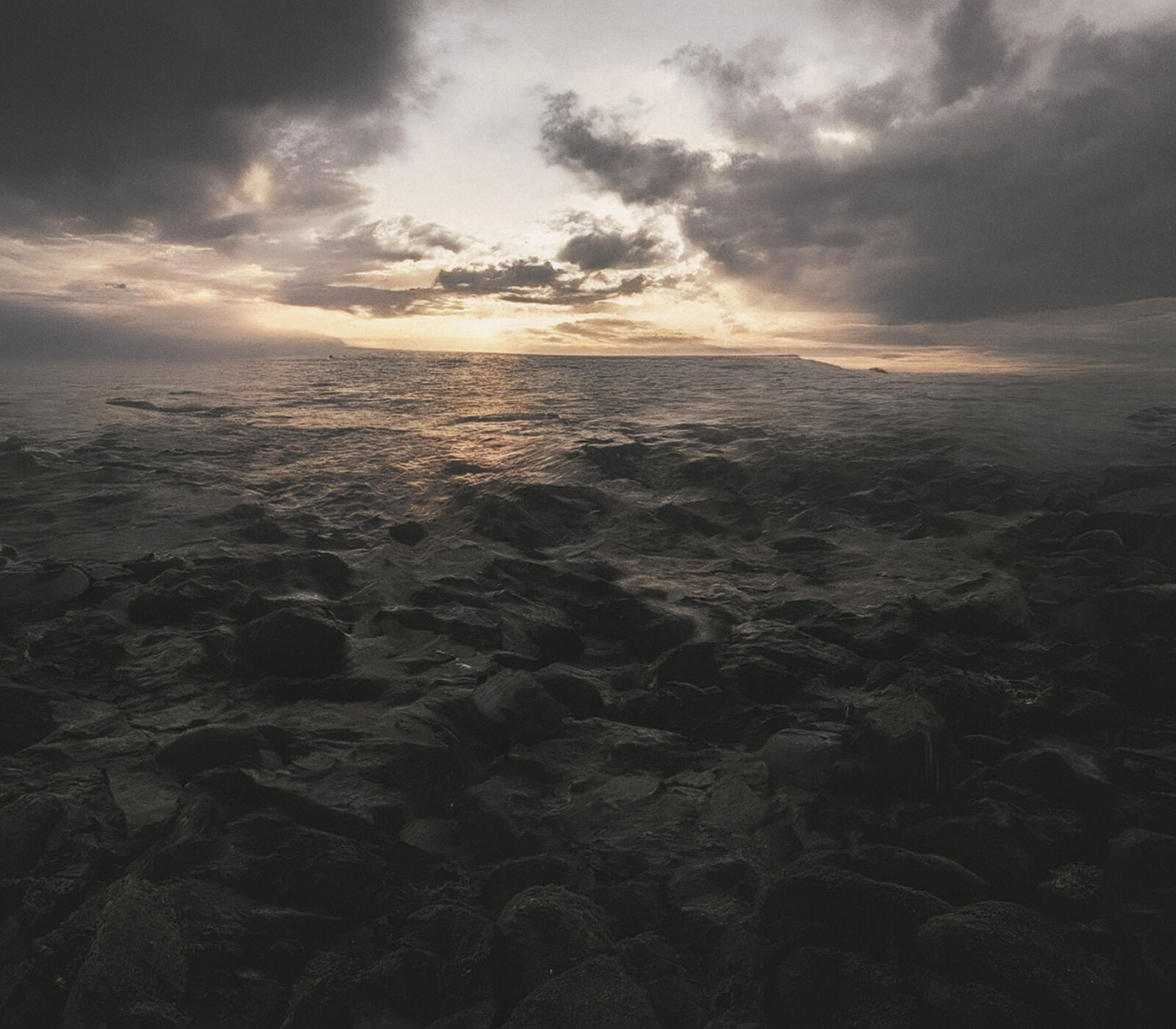 The Storm Is Coming