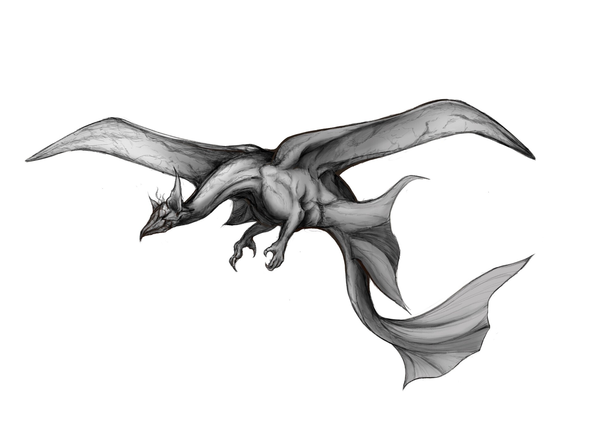 Alisha Jiwa Venusian Dragon Speculative zoology project