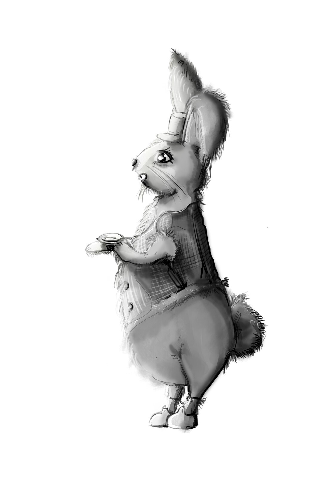 Mr Rabbit