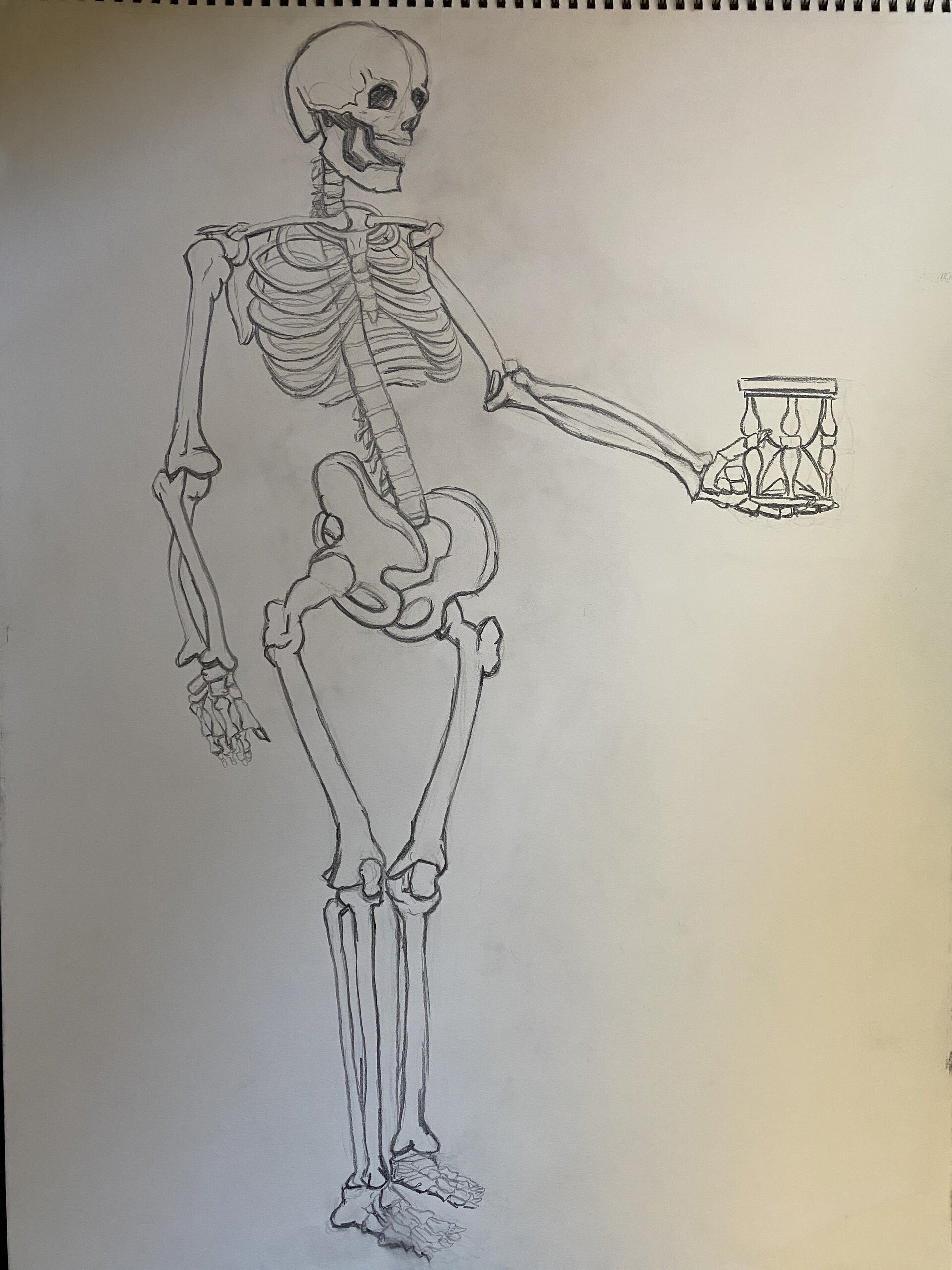 bsiuba on Twitter A skeleton drawing Pencil and fineliner skeleton  skeletondrawing artwork rysunek darkfantasy illustration  httpstcoVU45WjnGmU  Twitter