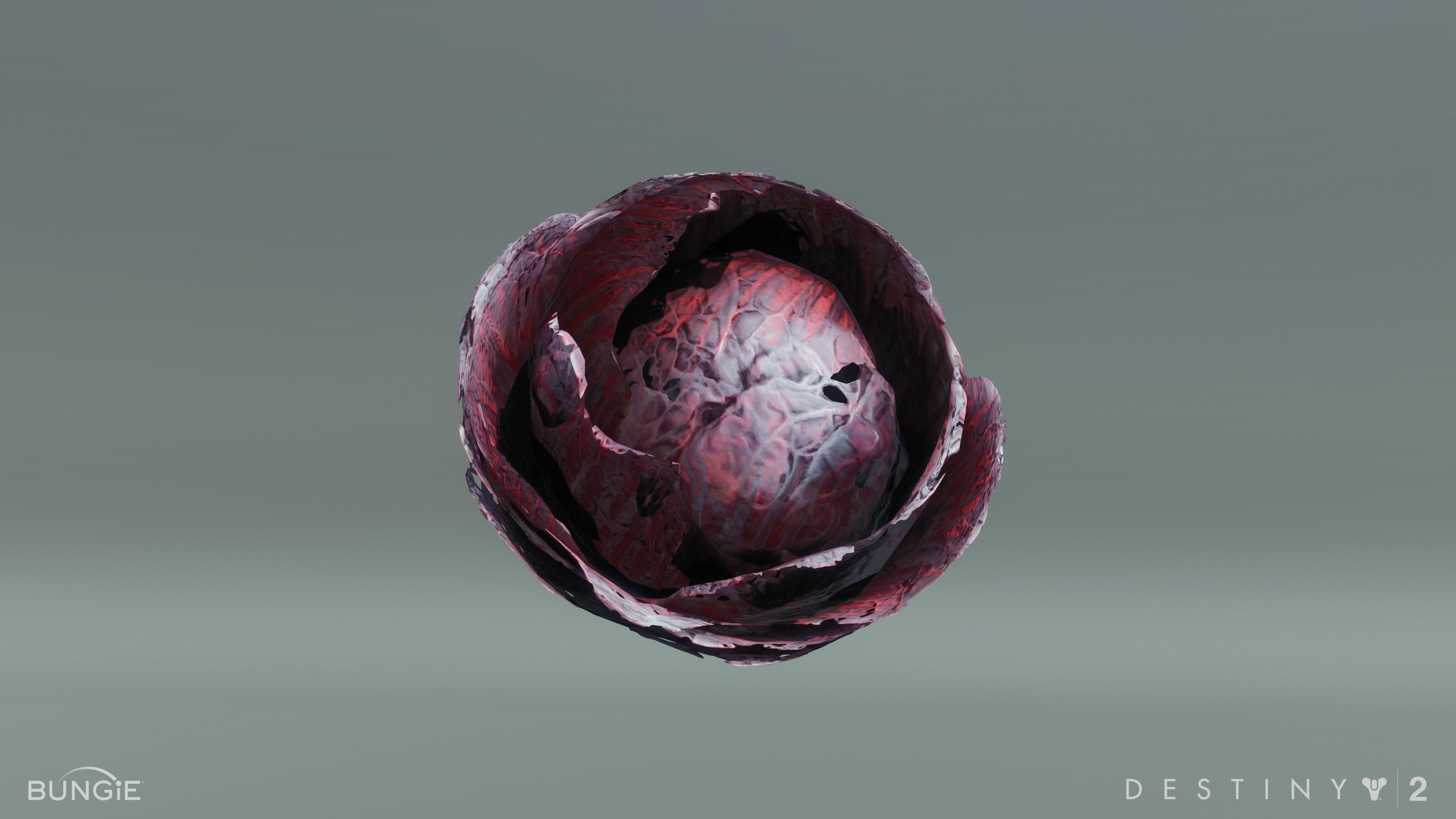 Hive water cabbage